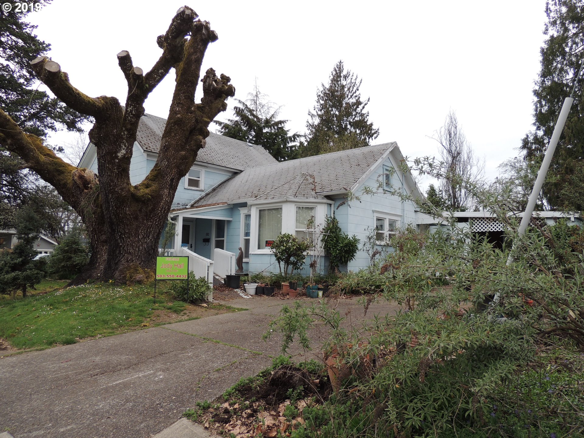 229 Nw 7th St , Mcminnville, OR 97128 MLS19542060 Sold 269,900Bella