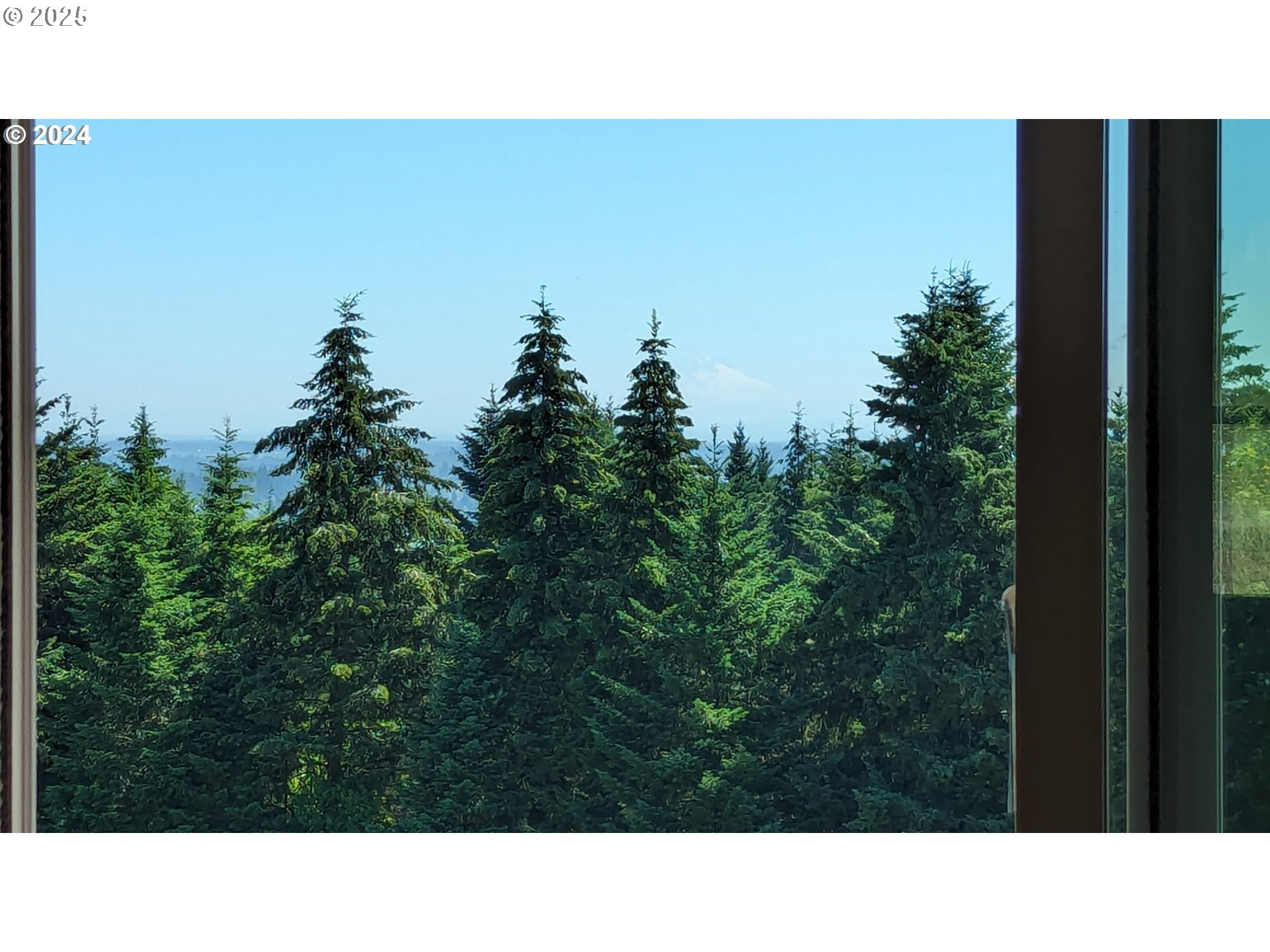 16575 SE WOODLAND HEIGHTS RD, Amity, OR, 97101