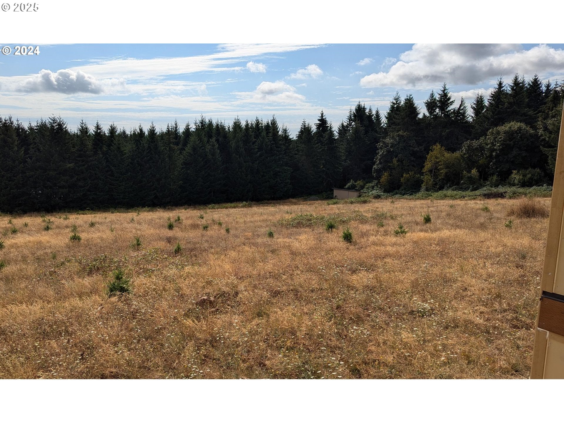 16575 SE WOODLAND HEIGHTS RD, Amity, OR, 97101