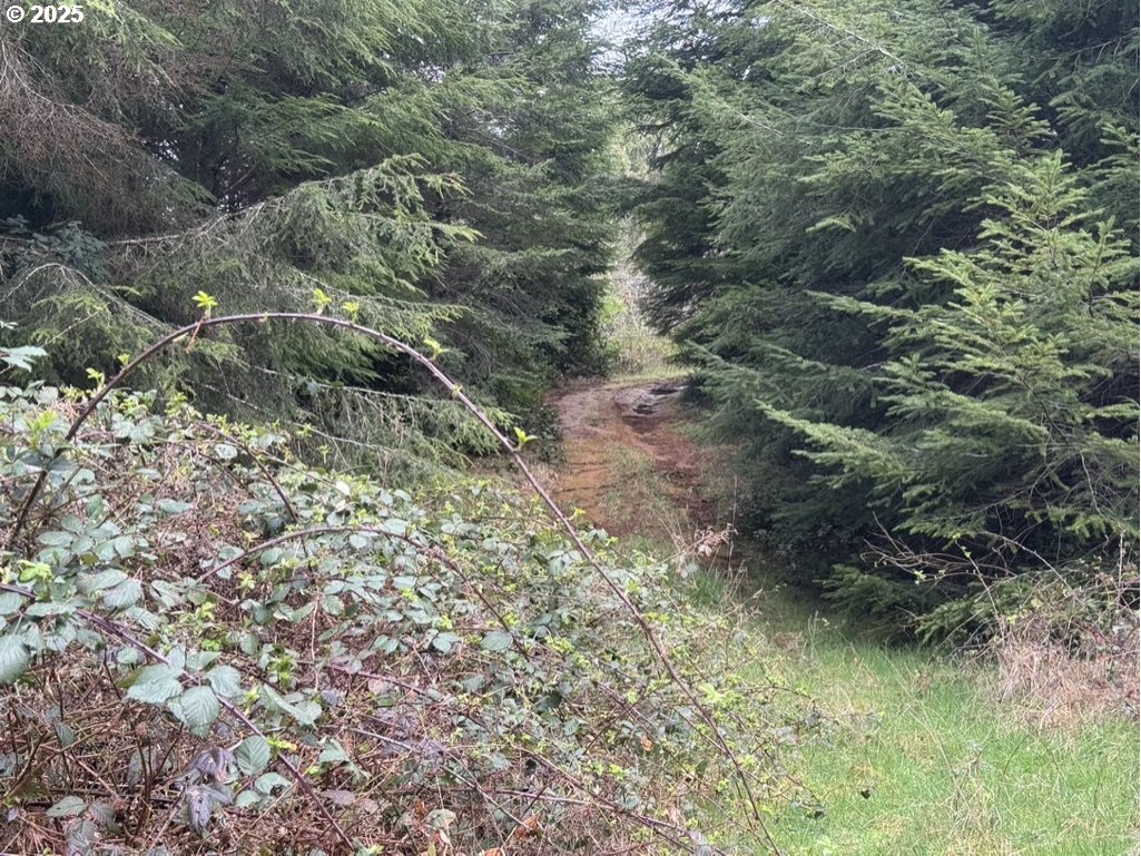 Search Homes for Sale