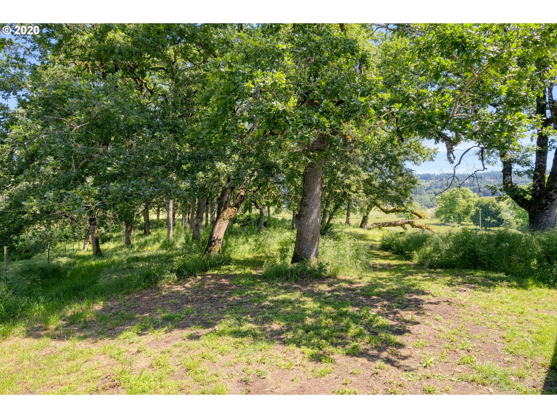 30575 NE FERNWOOD RD, Newberg, OR, 97132