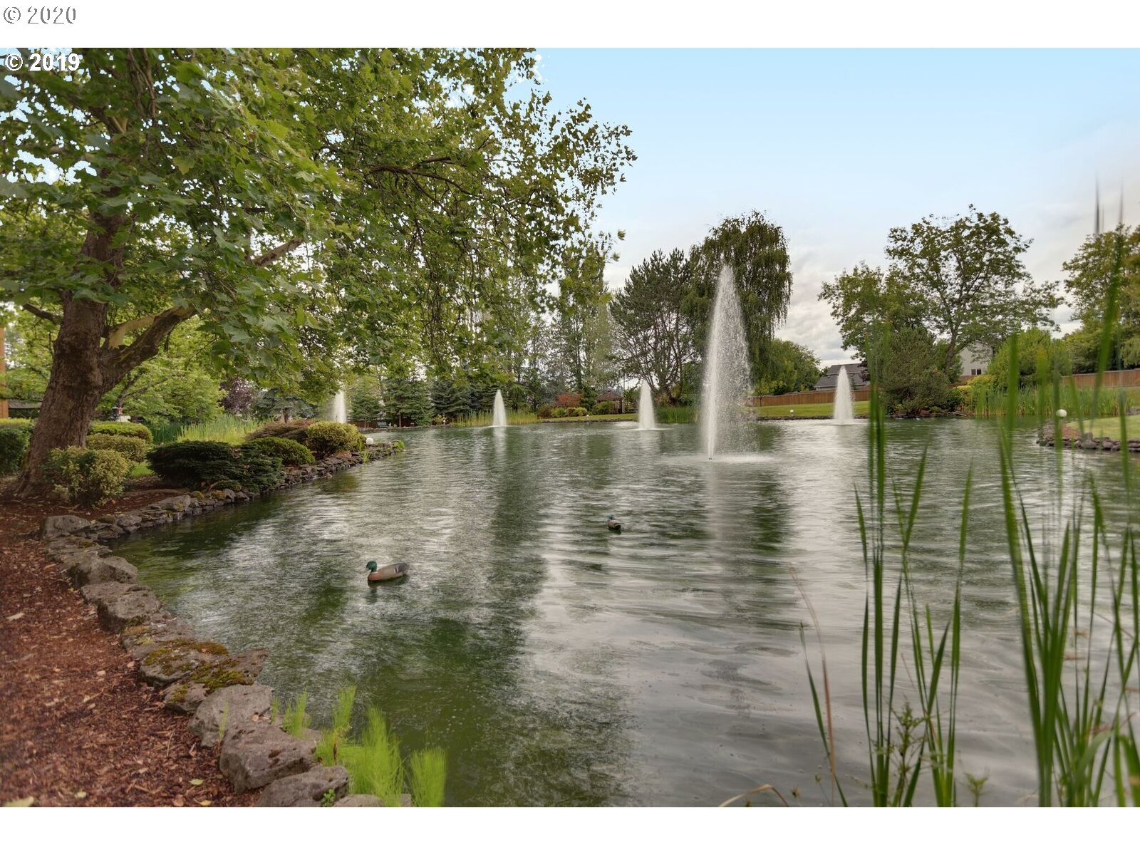 Photo #5: 20044289 Listing 