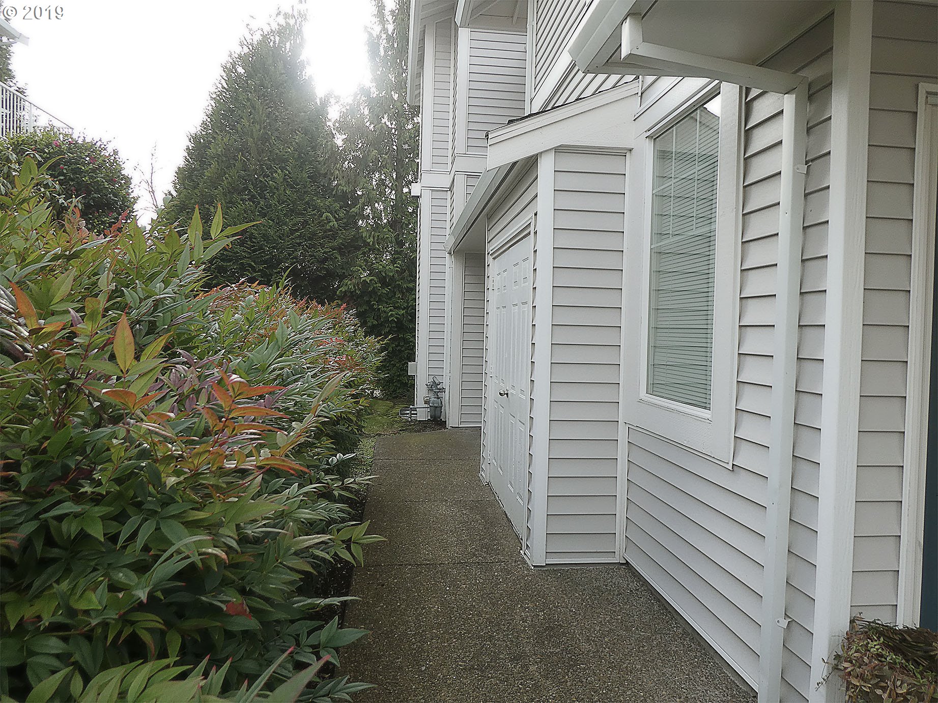 Photo #5: 20046849 Listing 