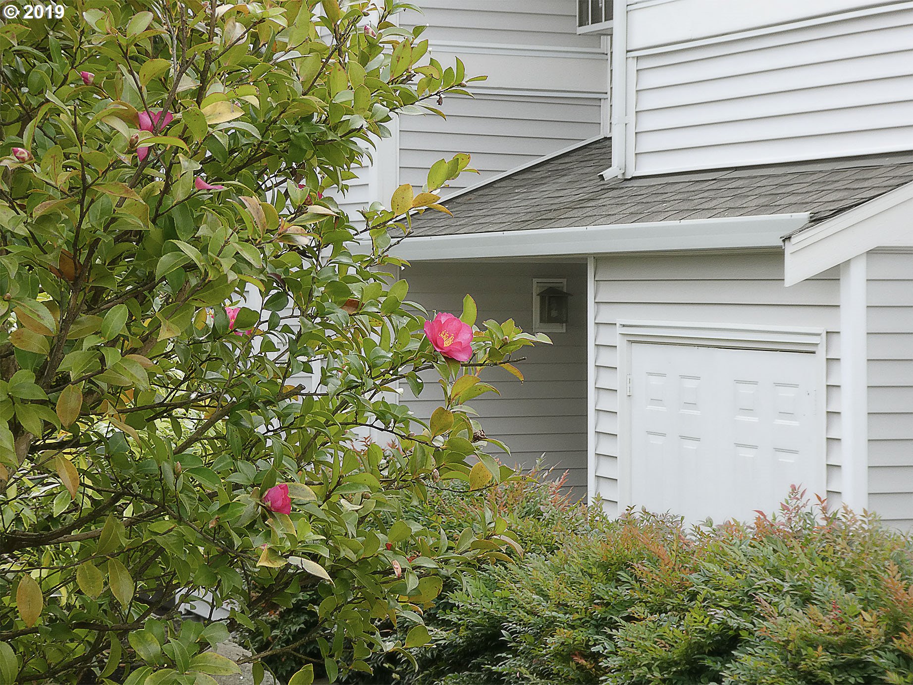 Photo #6: 20046849 Listing 