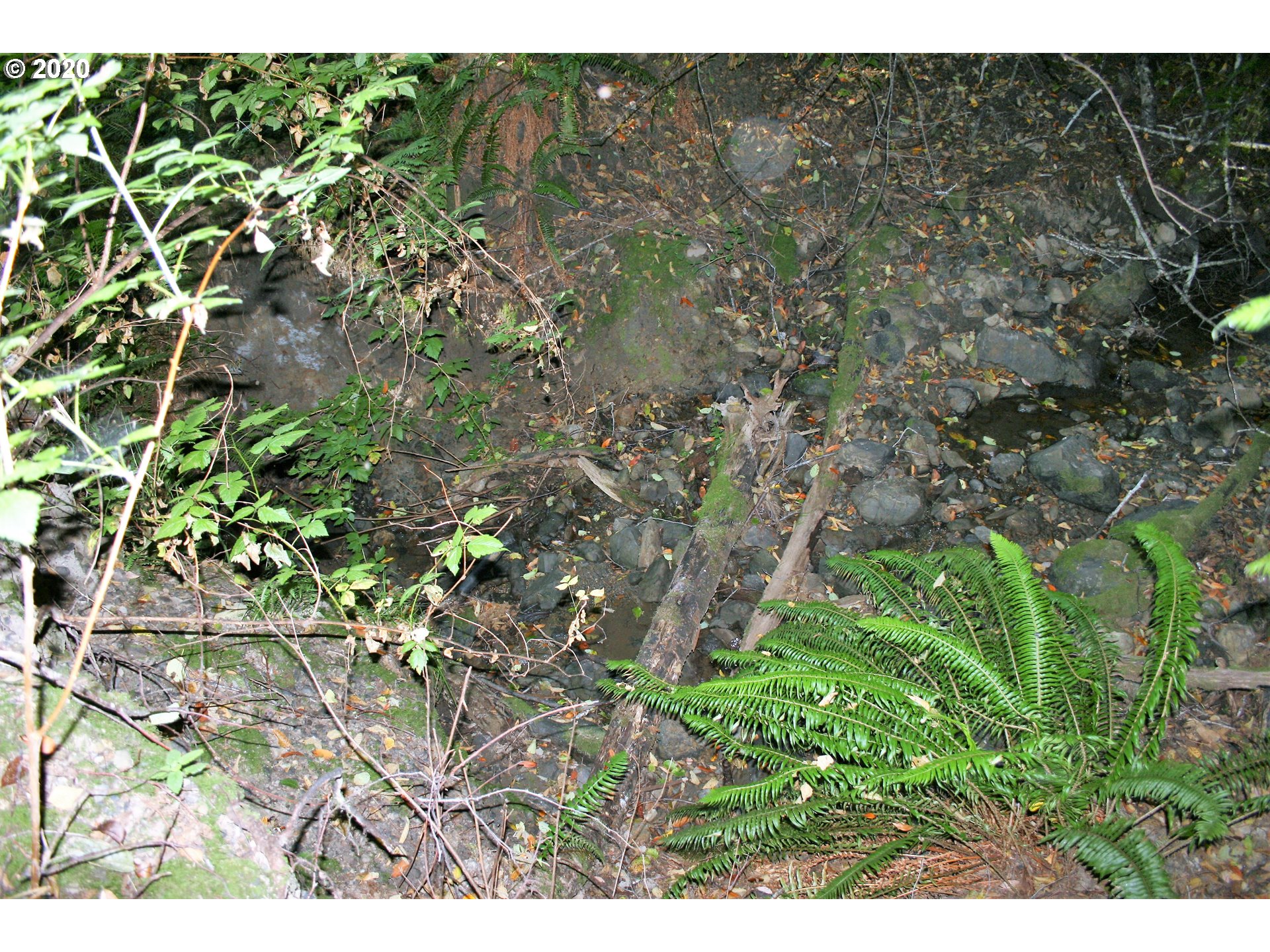 Creek