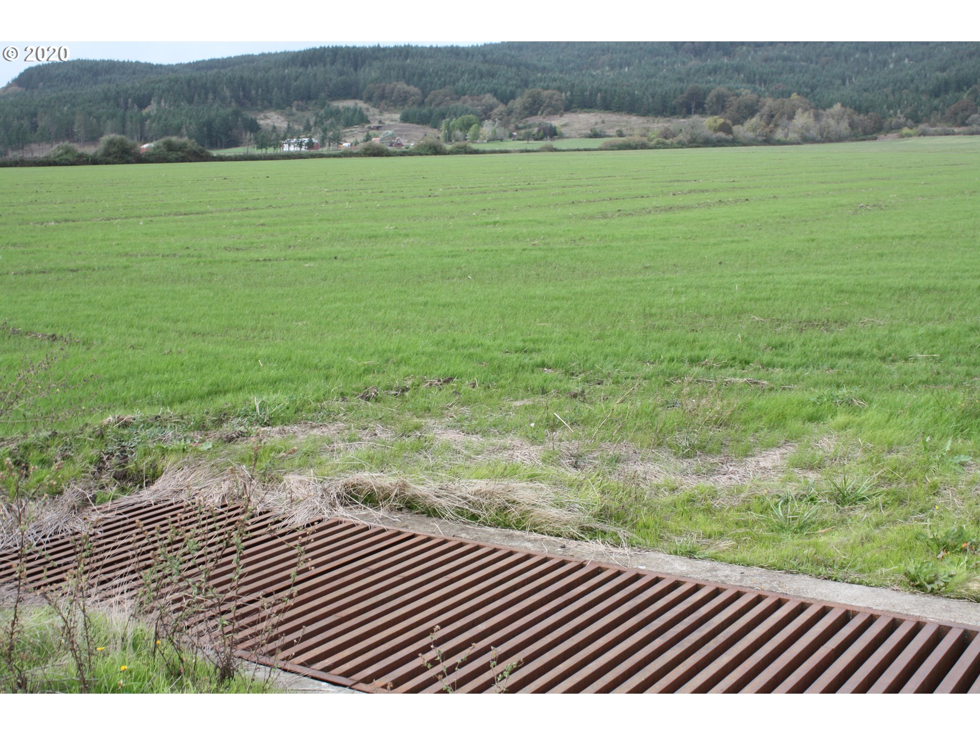 Yamhill County Yamhill County