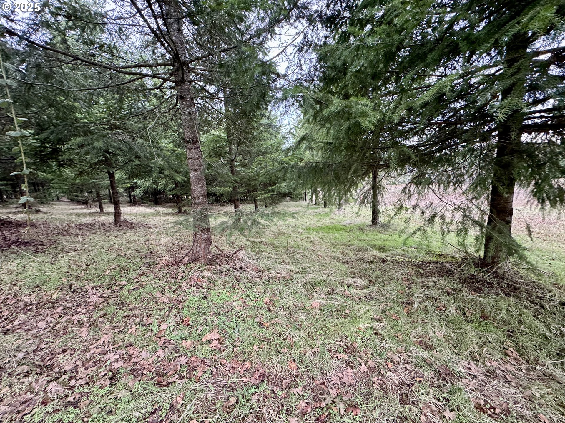 S Everett DR, Salem, OR, 97306 S Everett DR, Salem, OR, 97306