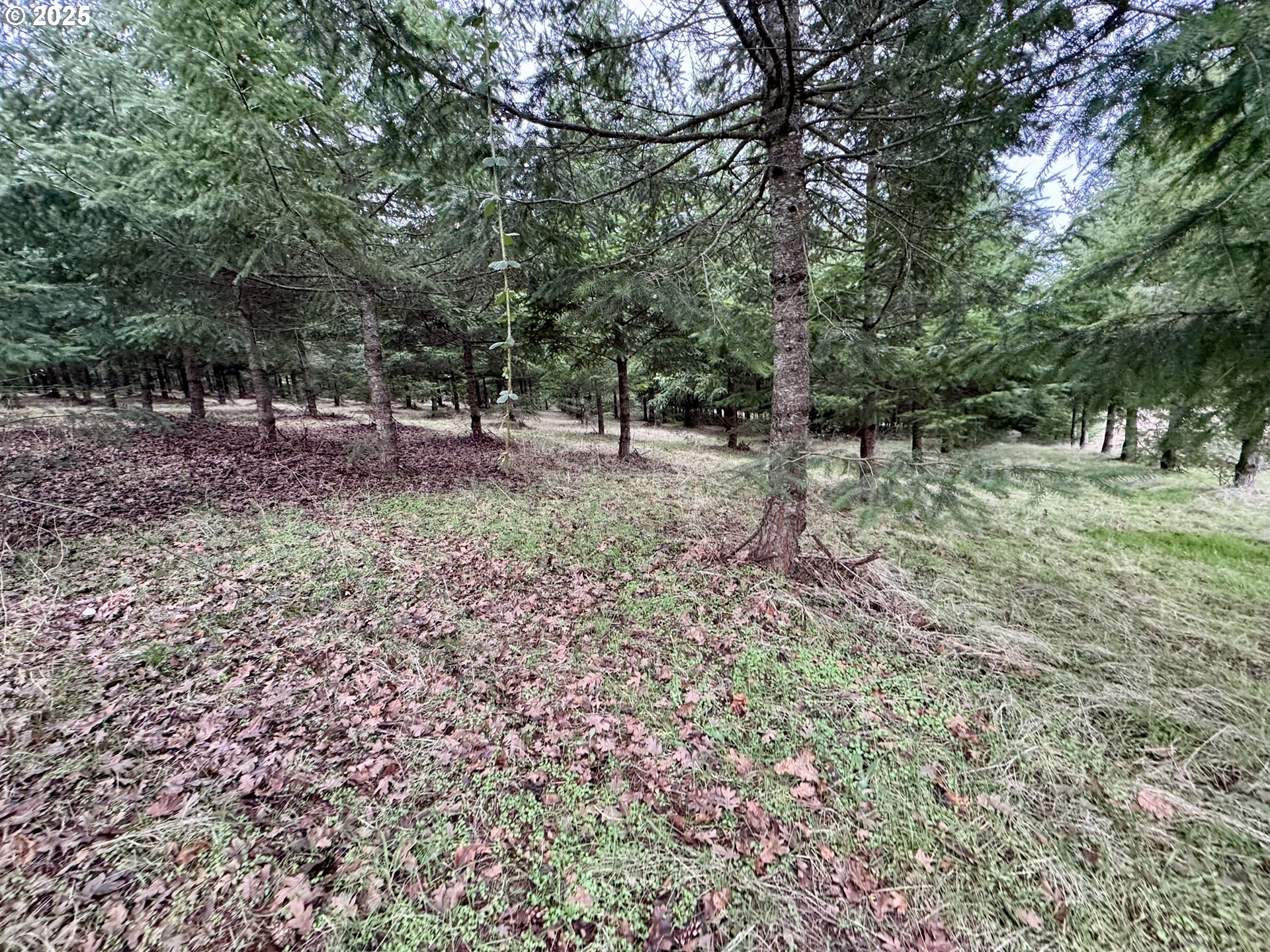 S Everett DR, Salem, OR, 97306 S Everett DR, Salem, OR, 97306