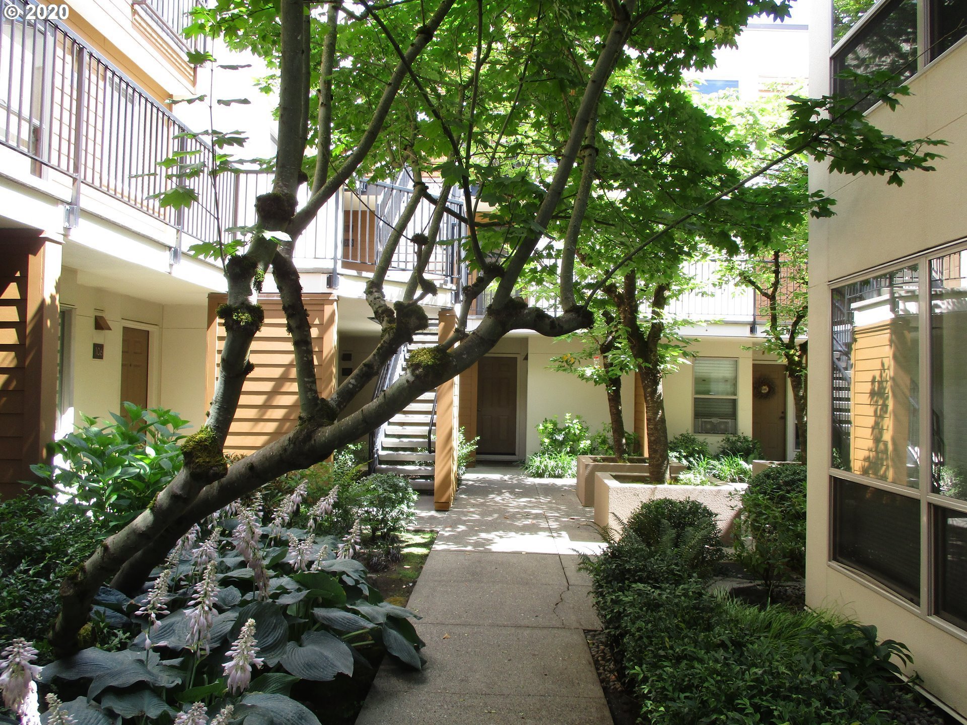 Photo #3: 20196869 Listing 