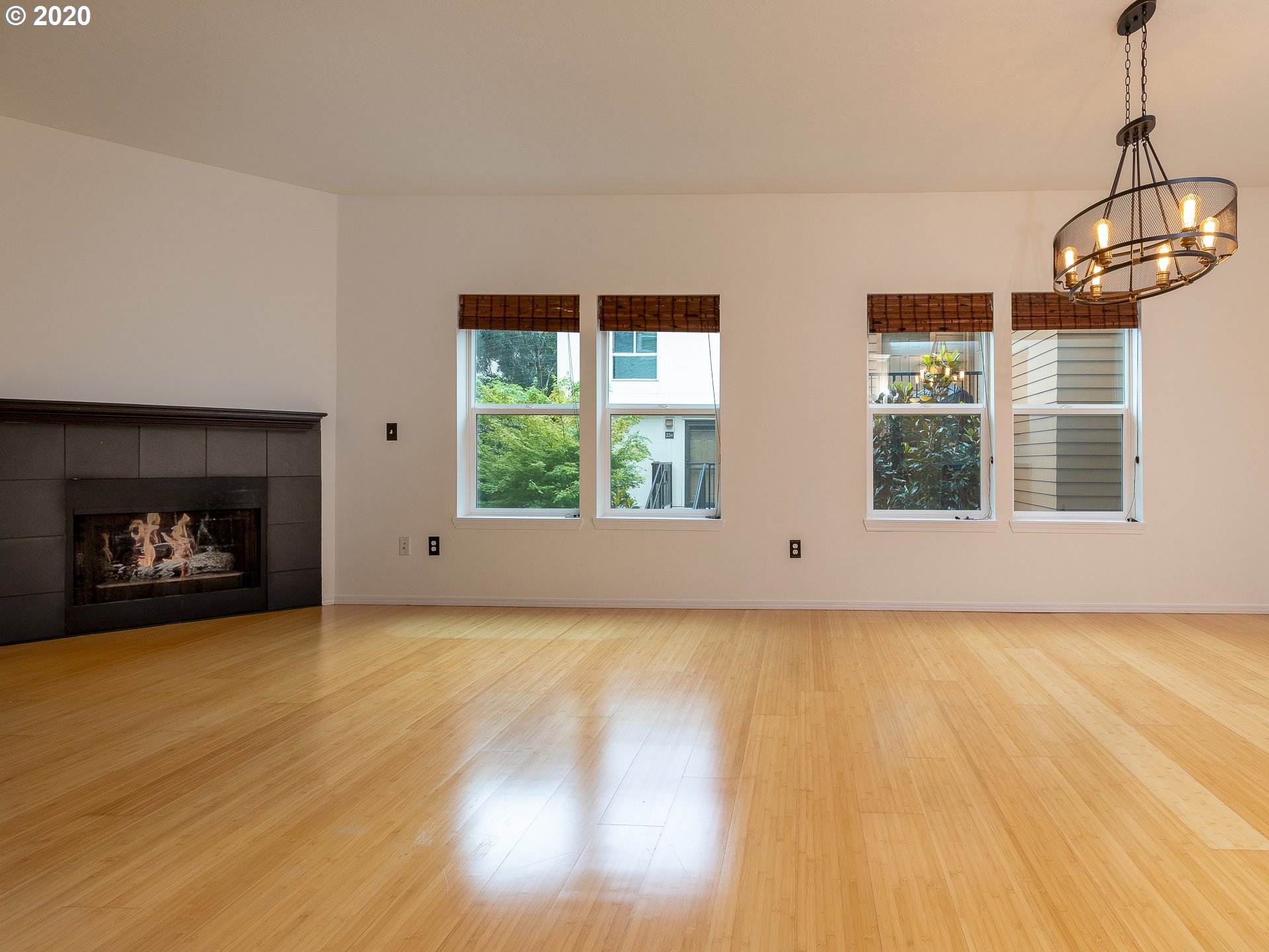 Photo #2: 20201109 Listing 