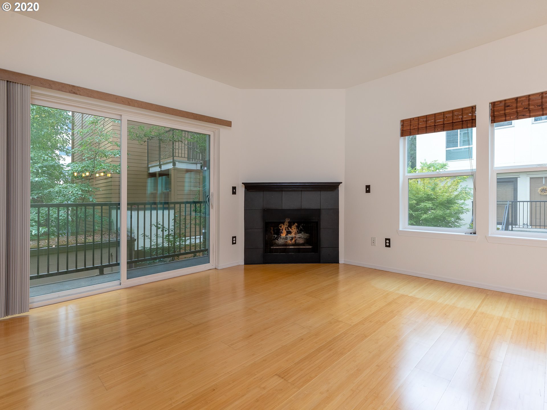 Photo #3: 20201109 Listing 