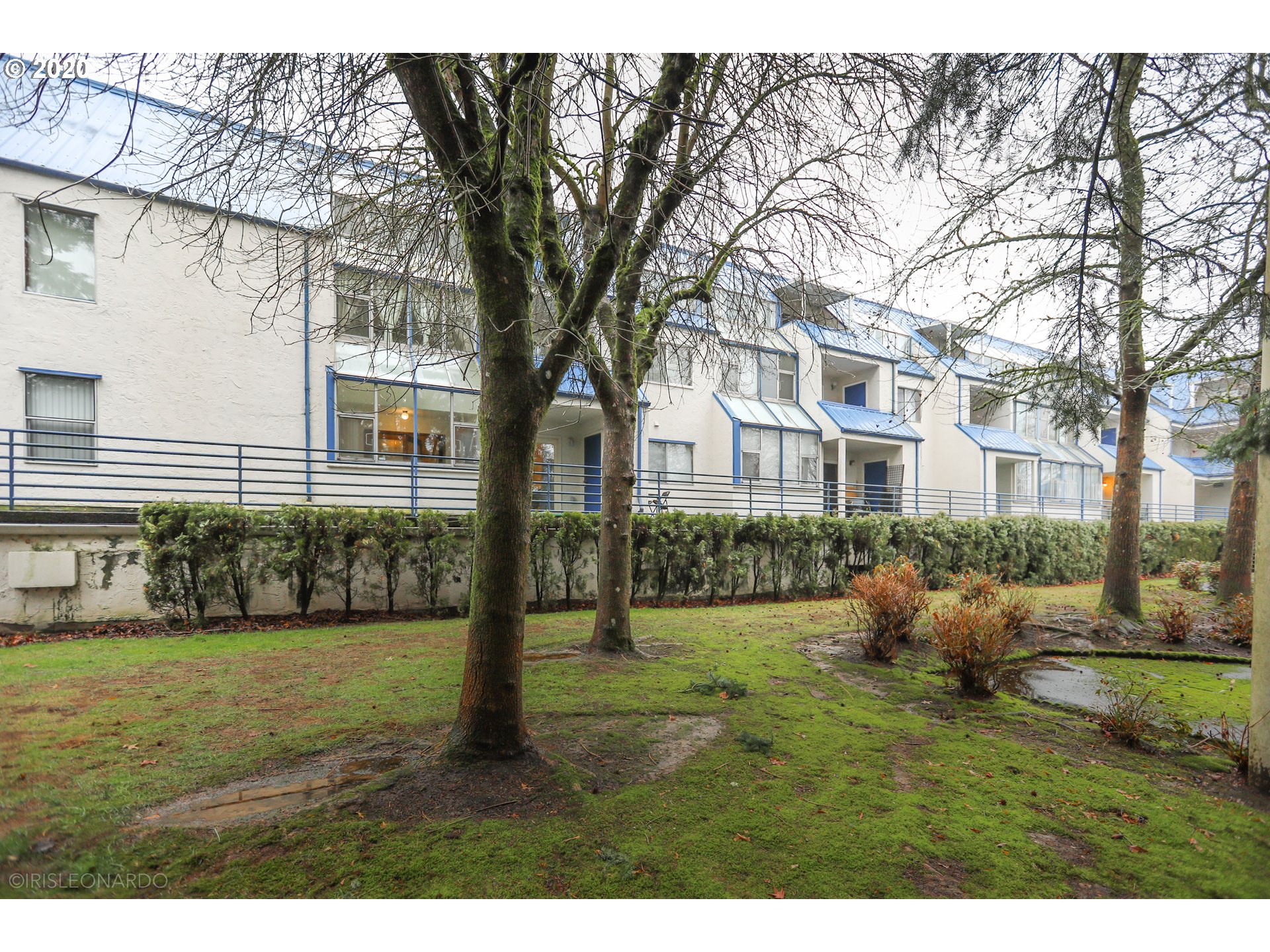 Photo #13: 20202422 Listing: Photo #13