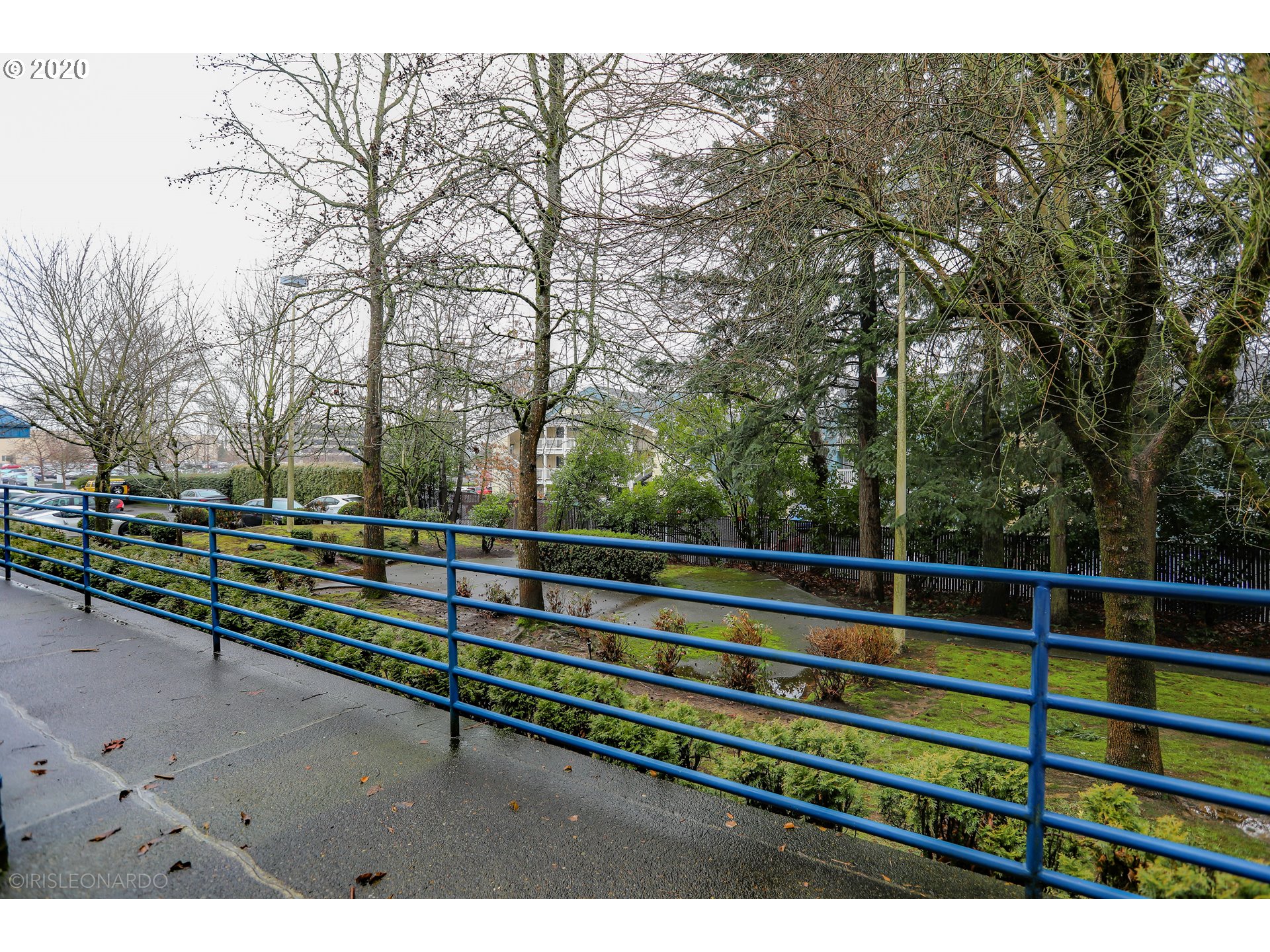 Photo #19: 20202422 Listing: Photo #19