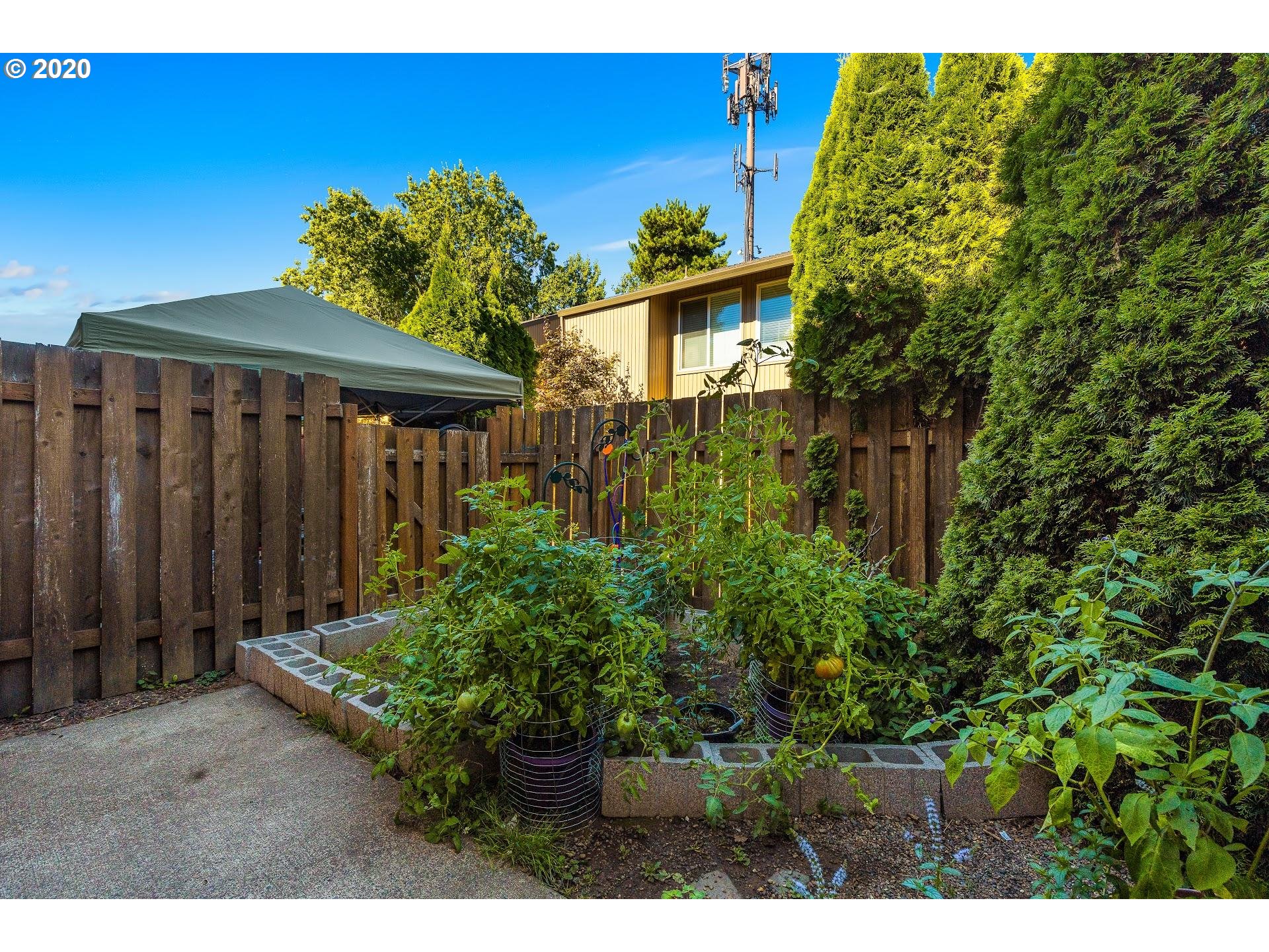 Photo #3: 20214200 Listing 
