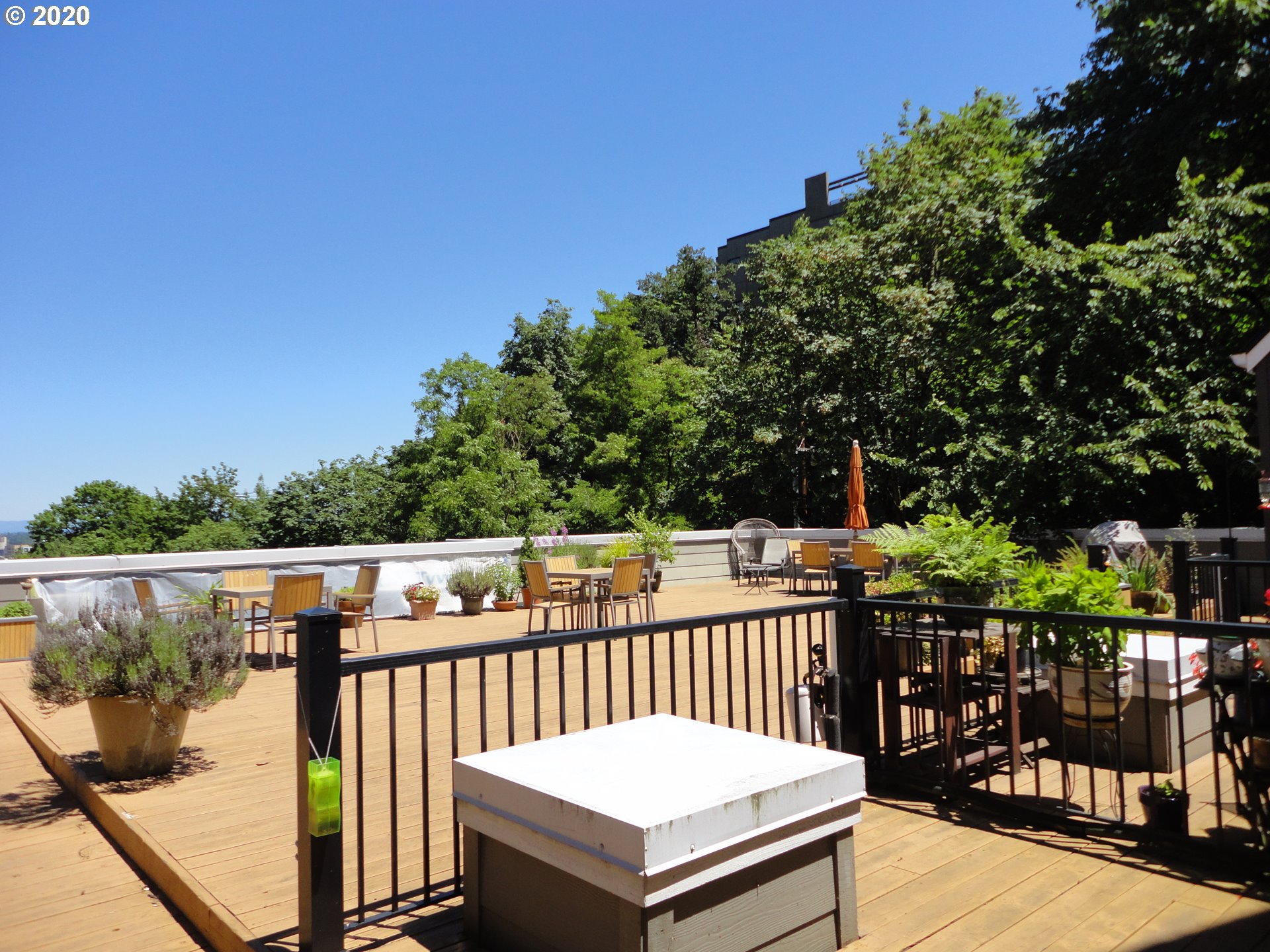 Photo #4: 20230812 Listing 