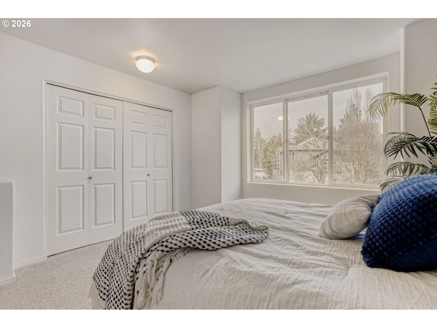 Photo #14: 202843259 Listing: Photo #14