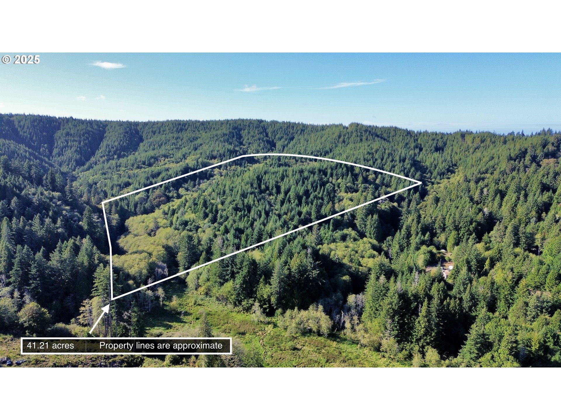 Search Homes for Sale