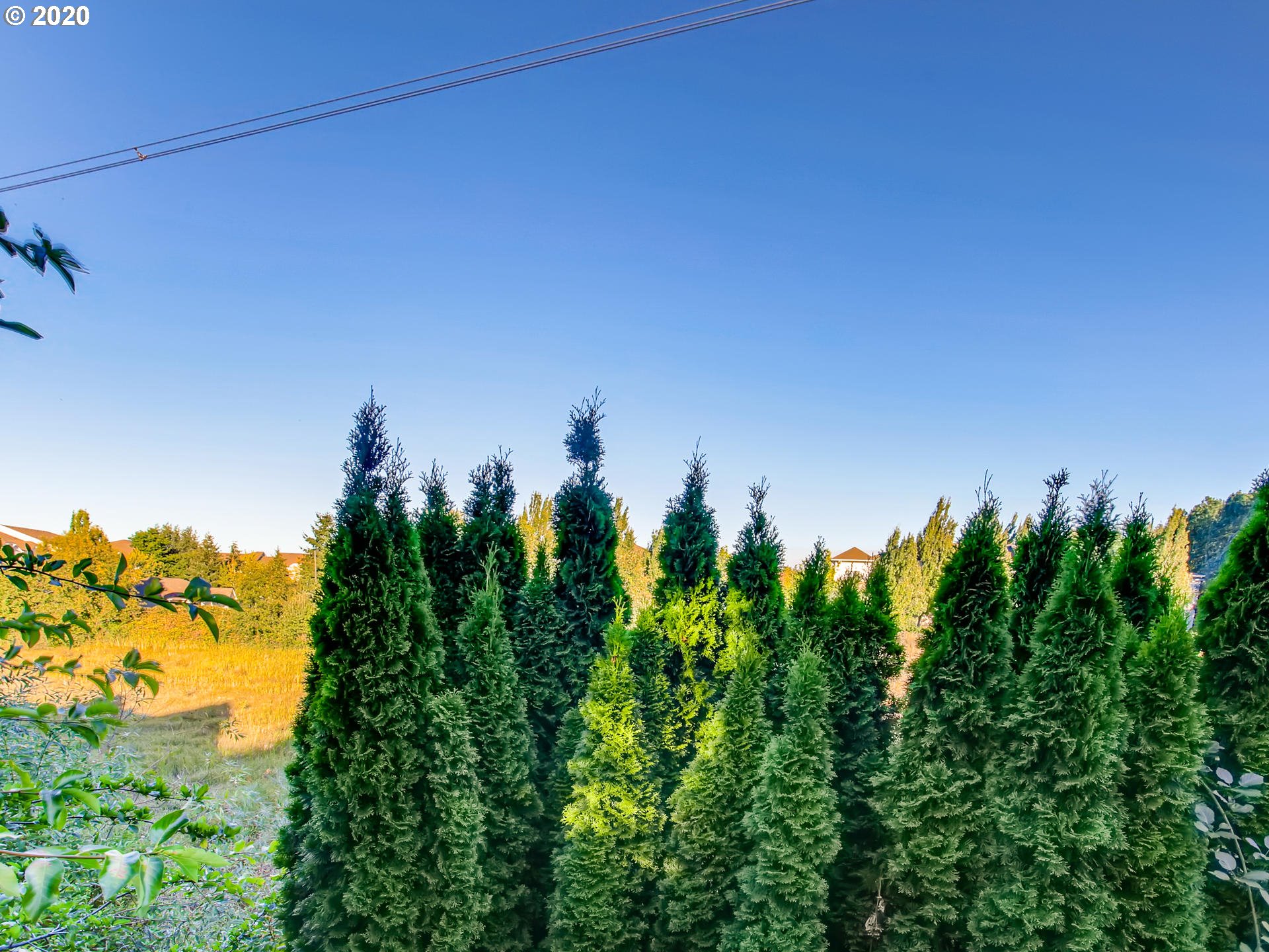 Photo #3: 20326345 Listing 