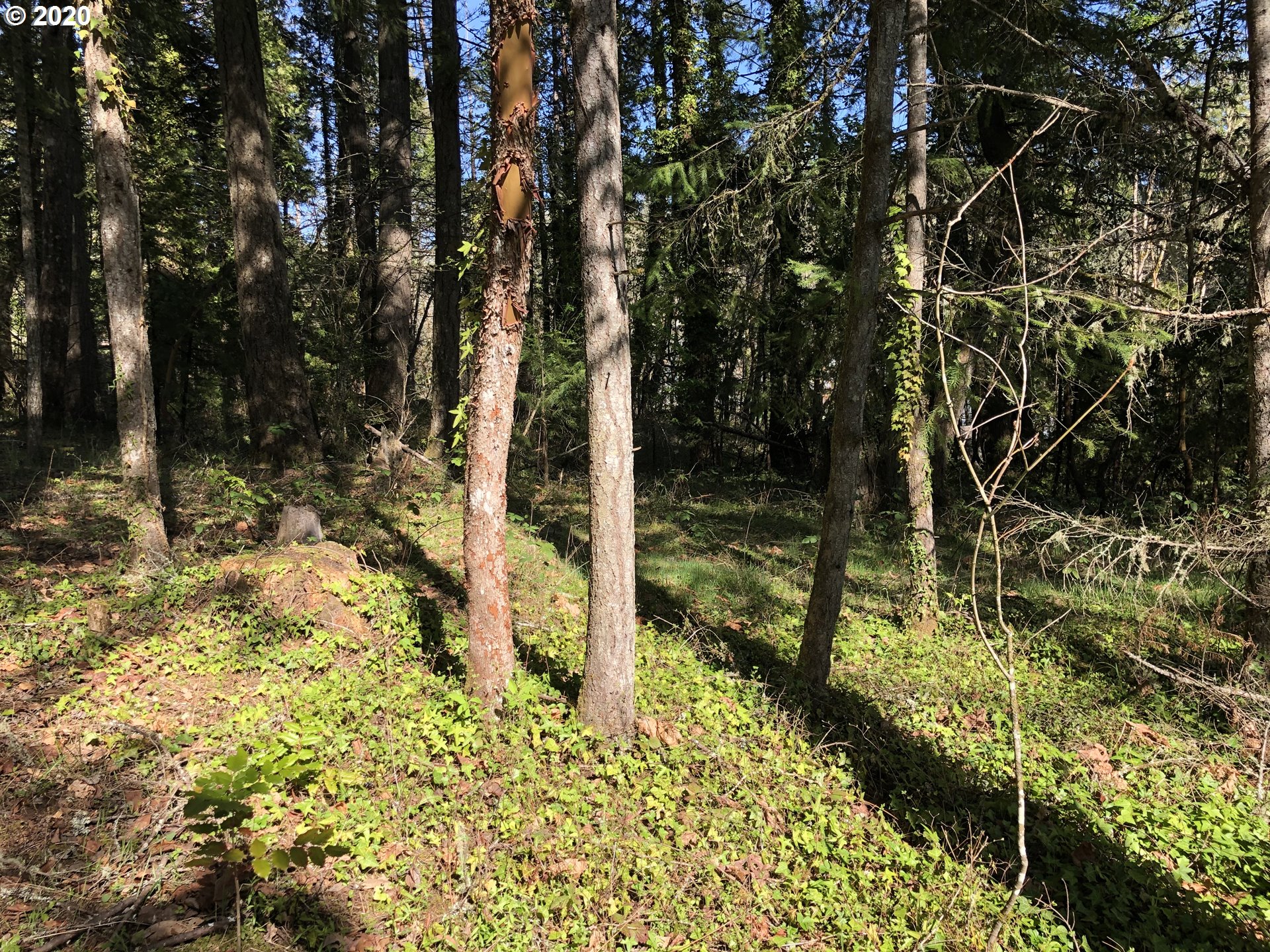 Search Homes for Sale