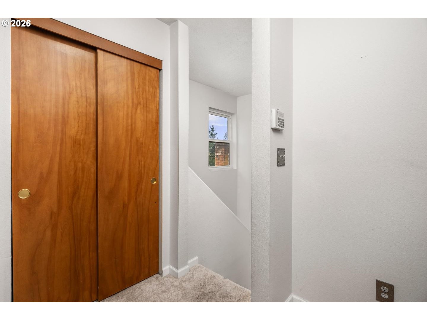 Photo #7: 203484607 Listing: Photo #7