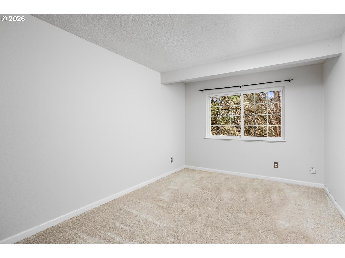 Photo #8: 203484607 Listing: Photo #8