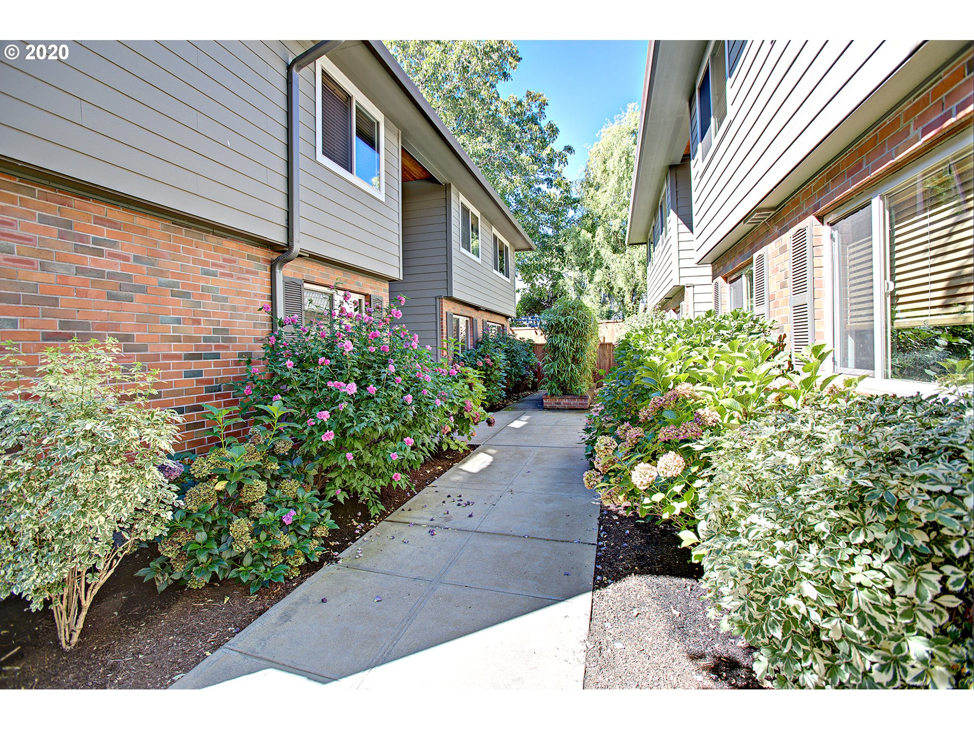 Photo #3: 20371733 Listing 