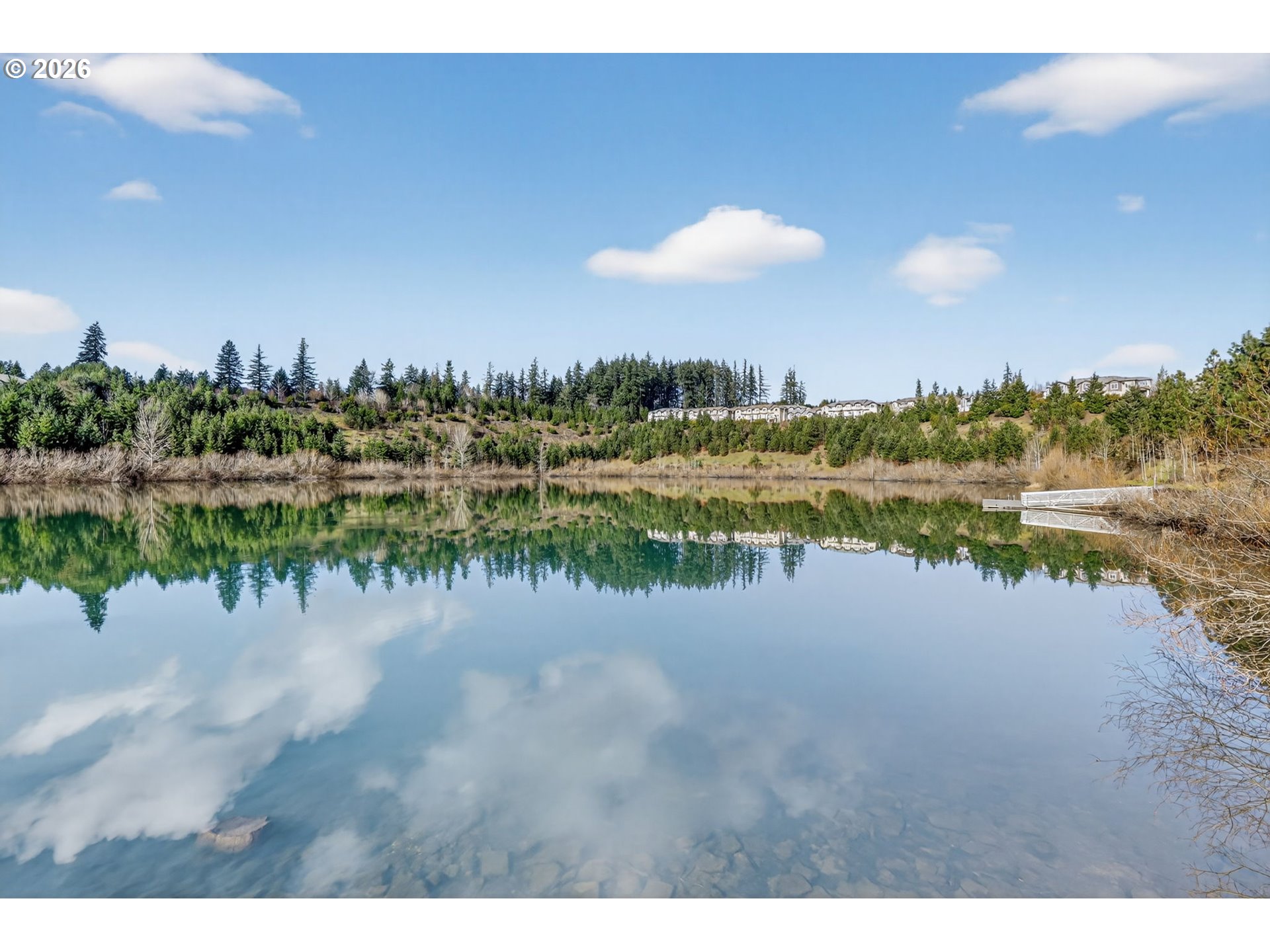 Photo #33: 203889066 Listing: Photo #33