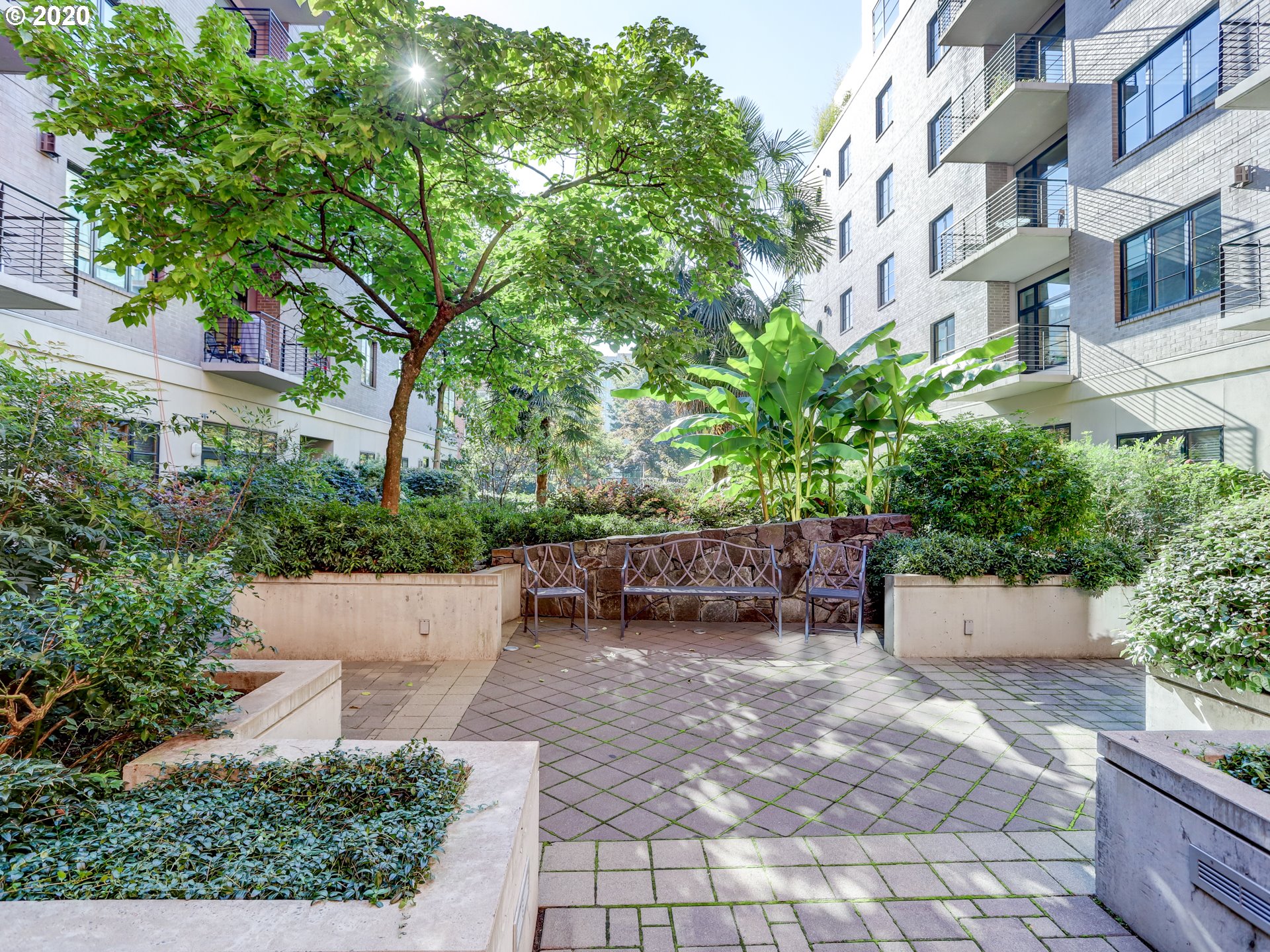 Photo #5: 20433154 Listing 