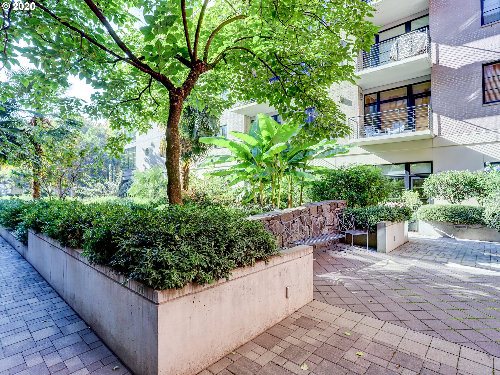 Photo #6: 20433154 Listing 