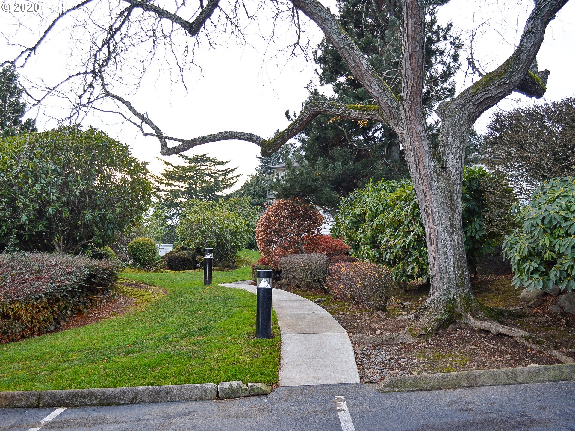 Photo #4: 20449002 Listing 