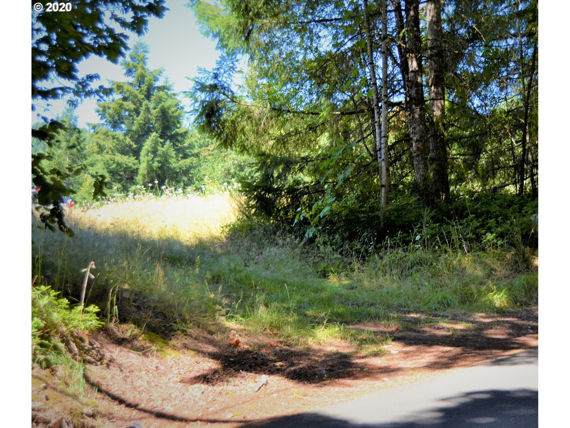 Hood River Real Estate Don Nunamaker, Realtors Homes For Sale 801