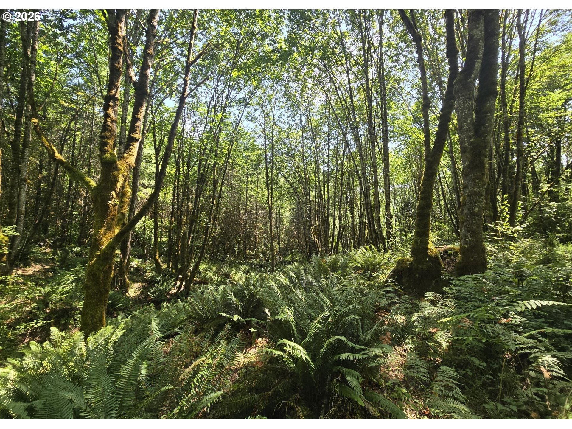 Search Homes for Sale