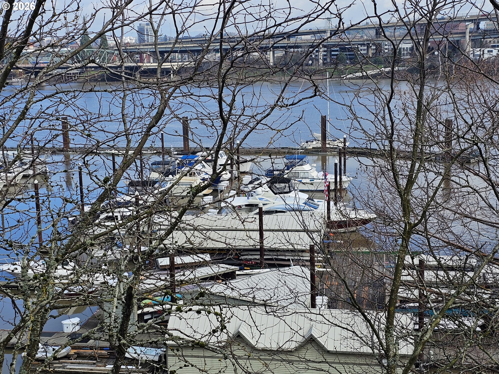 Photo #39: 205173824 Listing: Photo #39