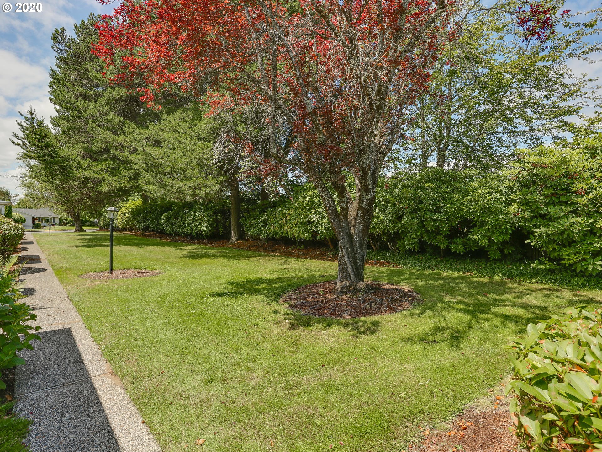 Photo #3: 20519966 Listing 