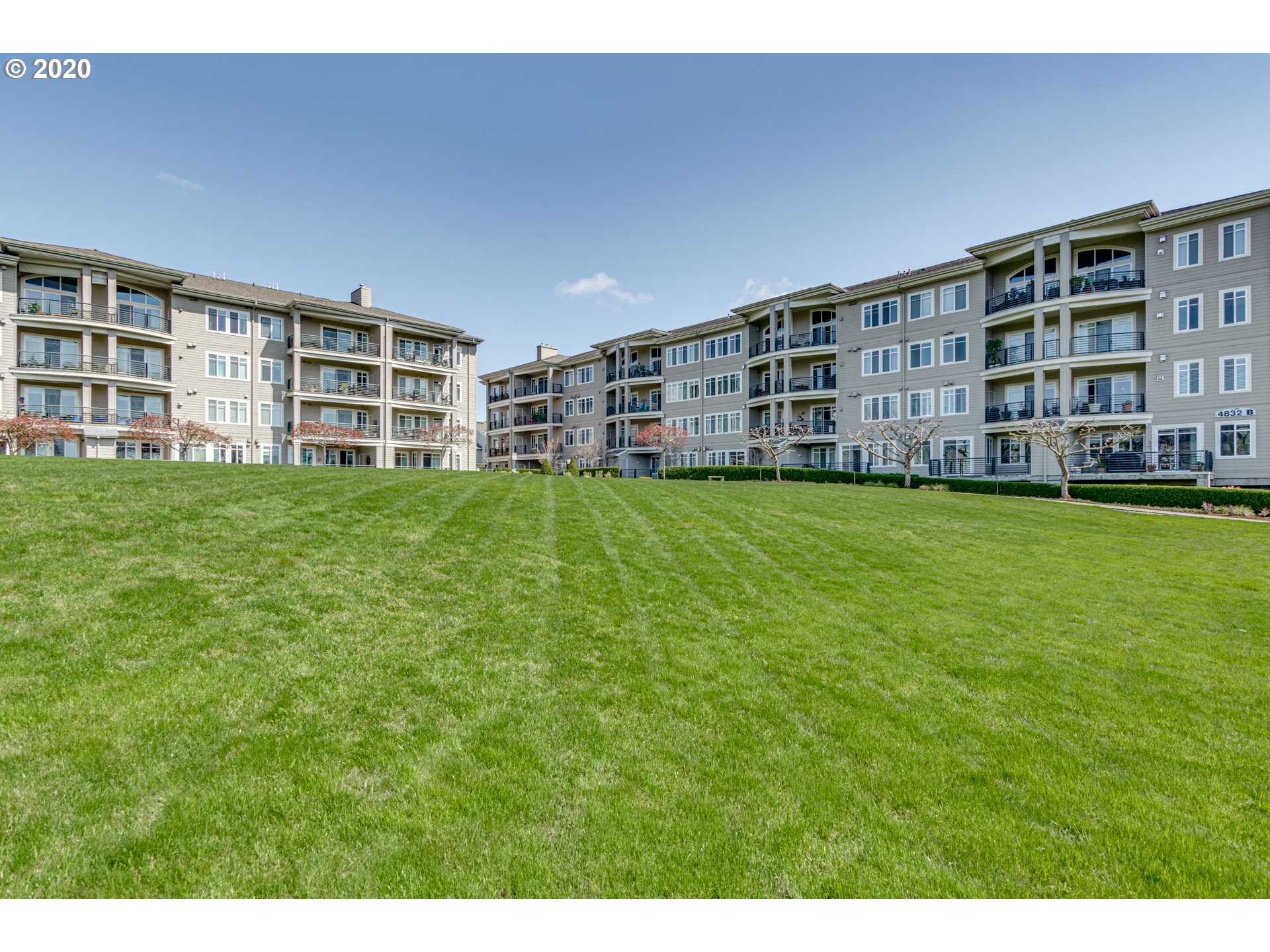 Photo #4: 20521687 Listing 