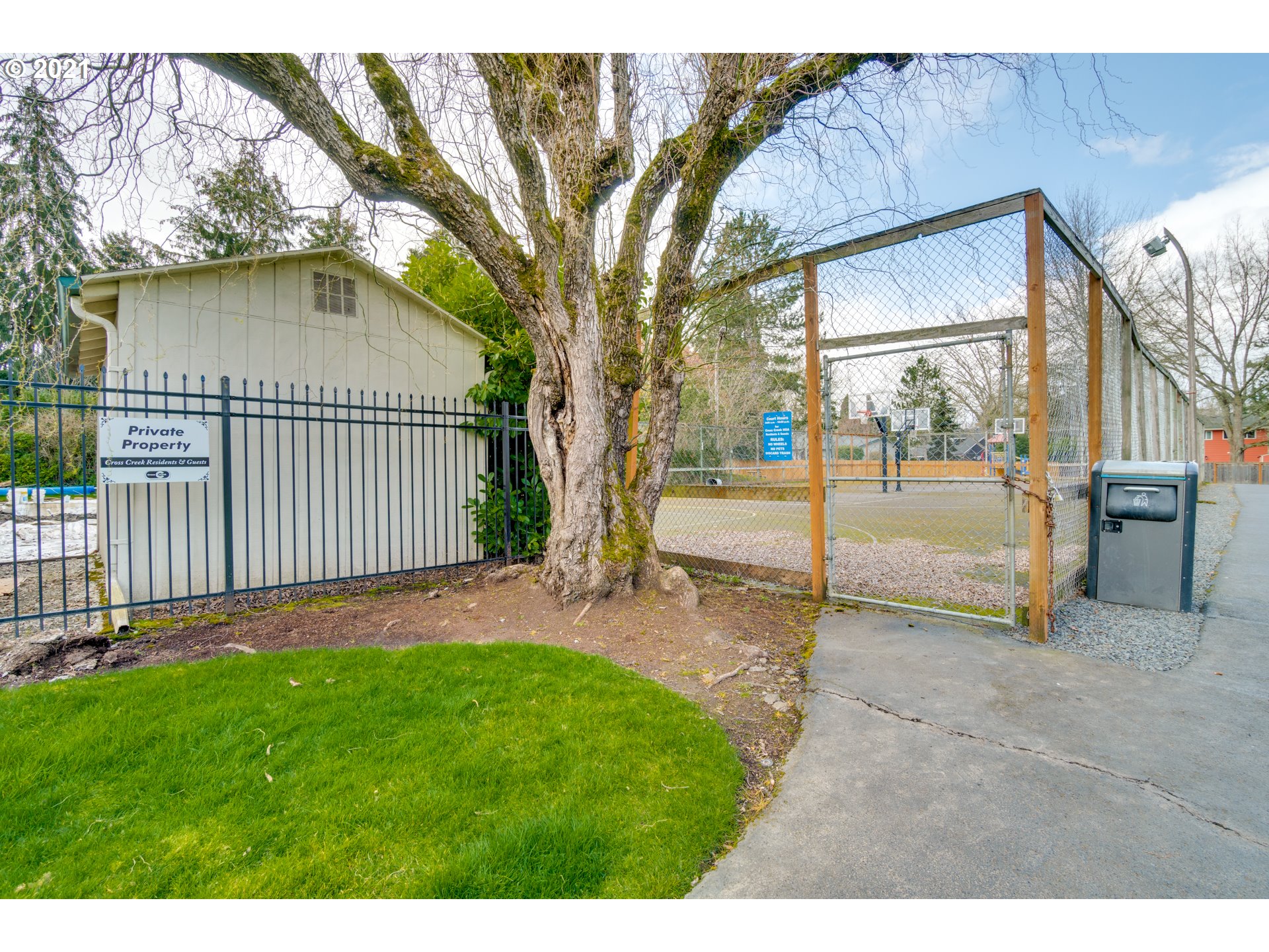 Photo #5: 20544434 Listing 