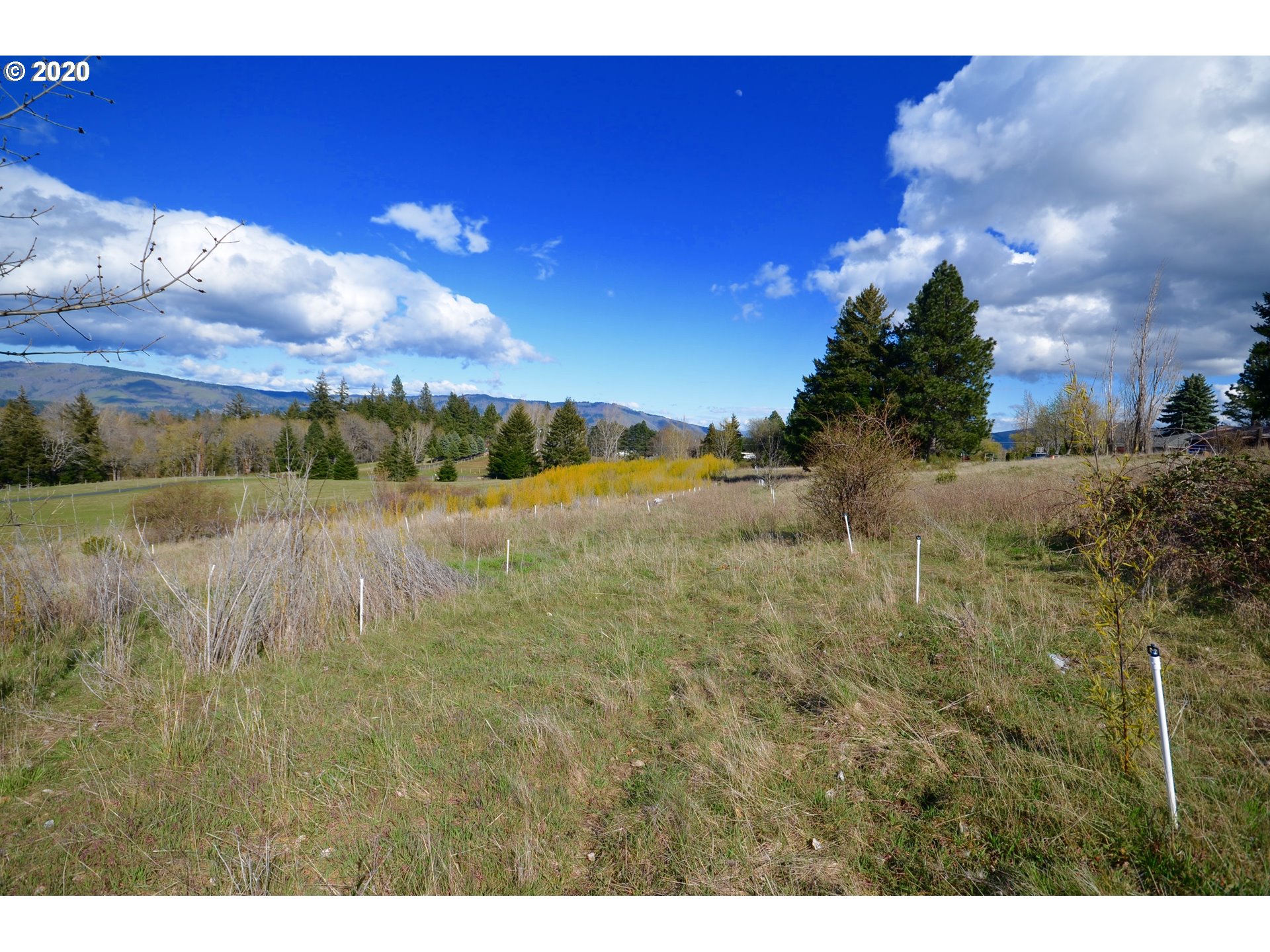 Photo of Country Club RD Hood River OR 97031