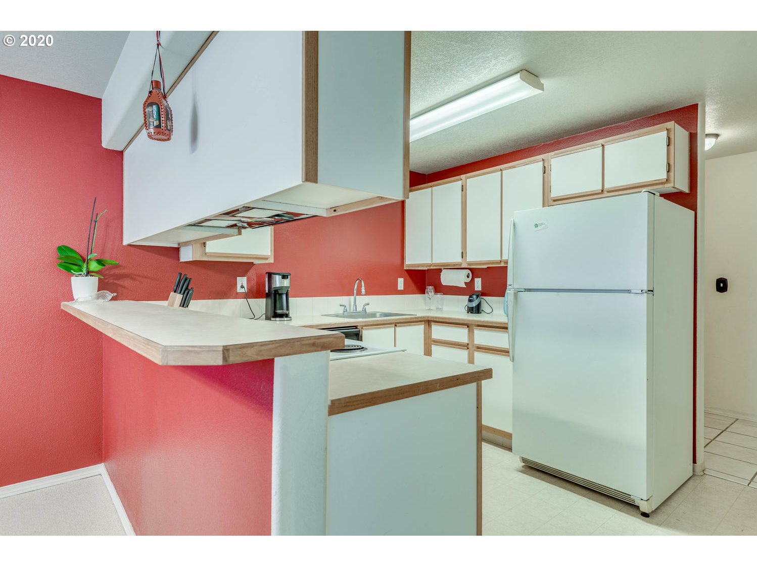 Photo #2: 20580820 Listing 