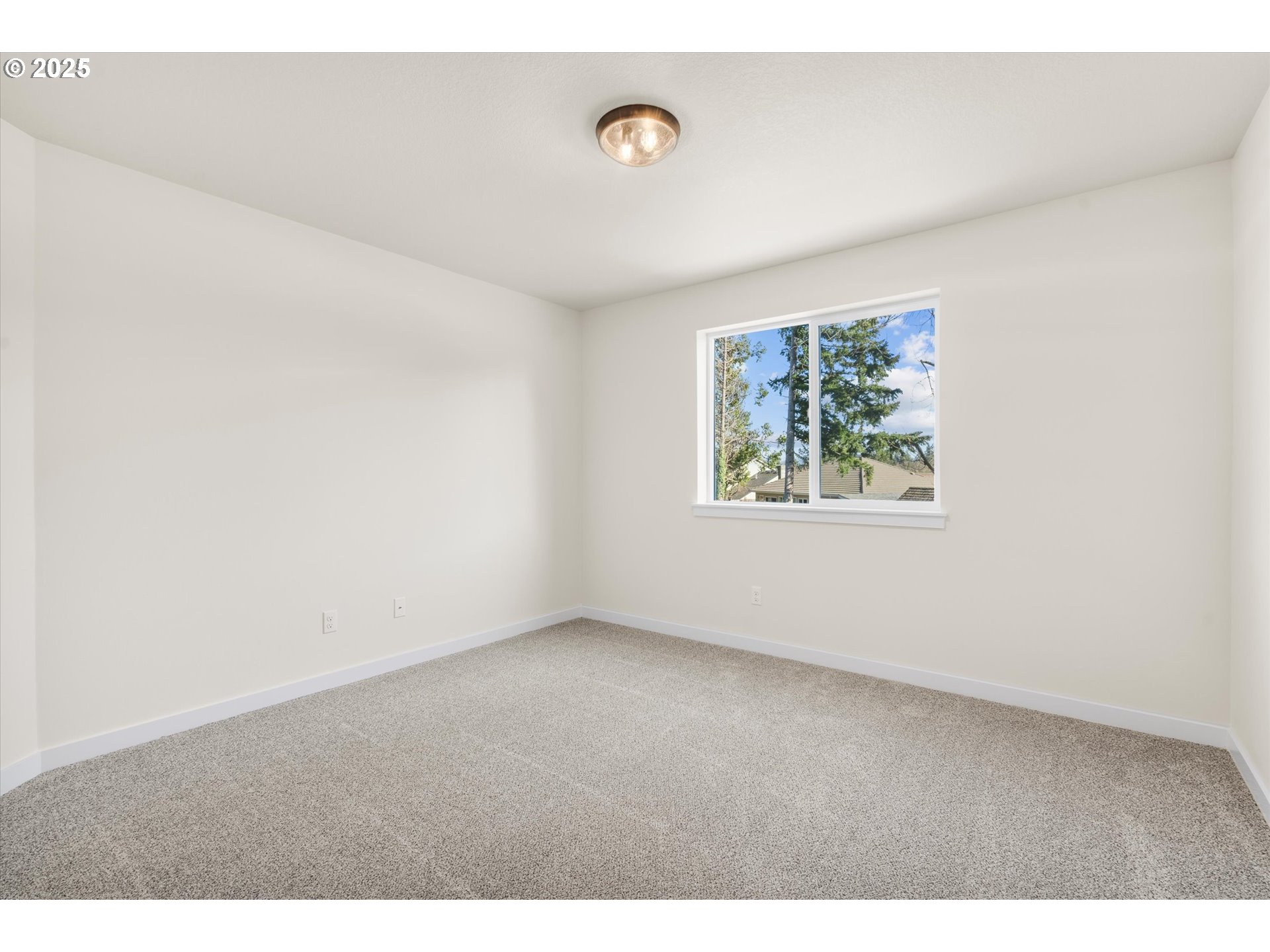 Photo #21: 206580674 Listing: Photo #21