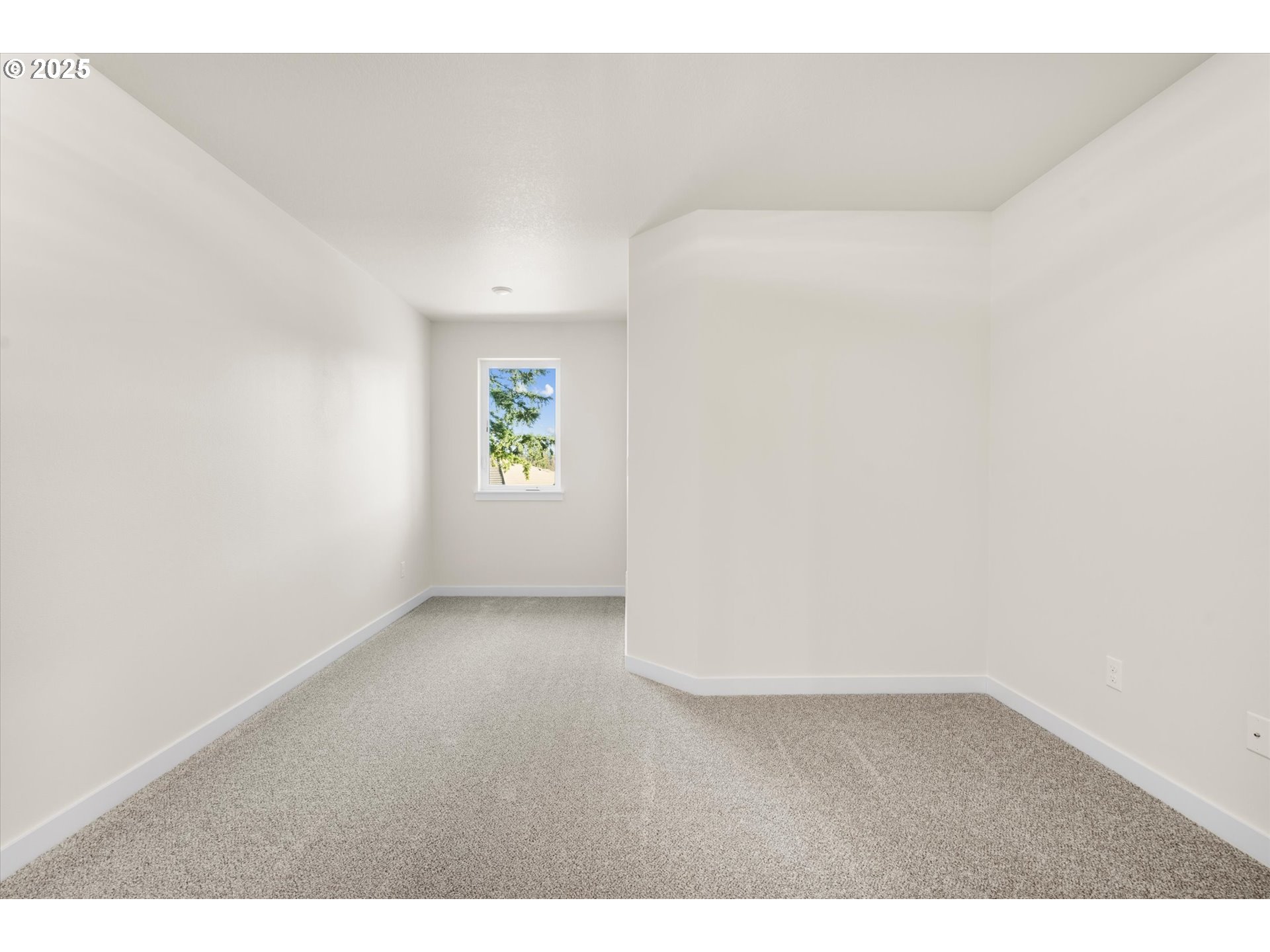 Photo #23: 206580674 Listing: Photo #23