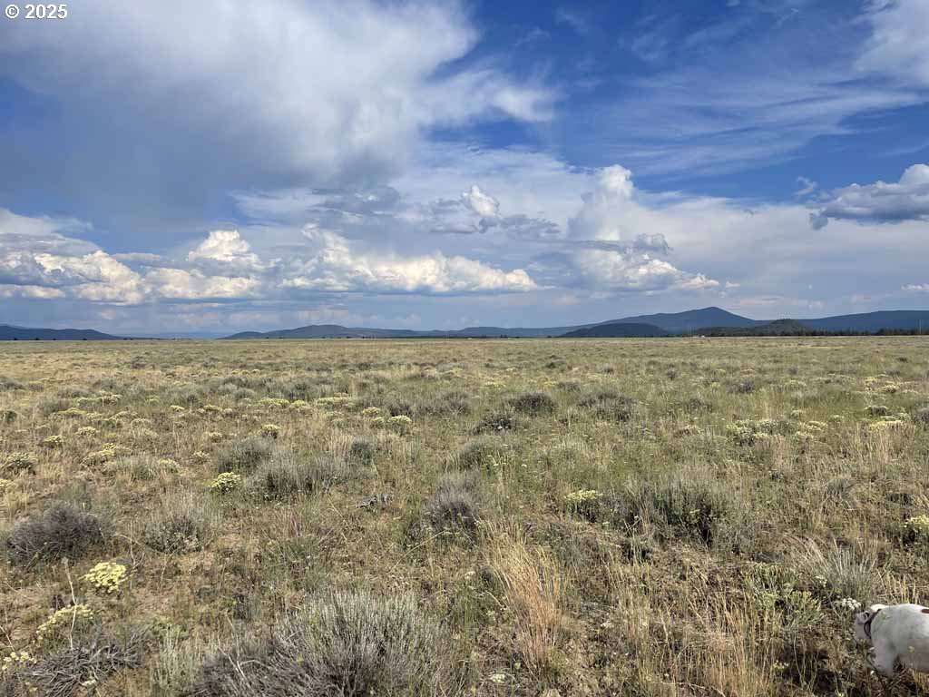 Search Homes for Sale