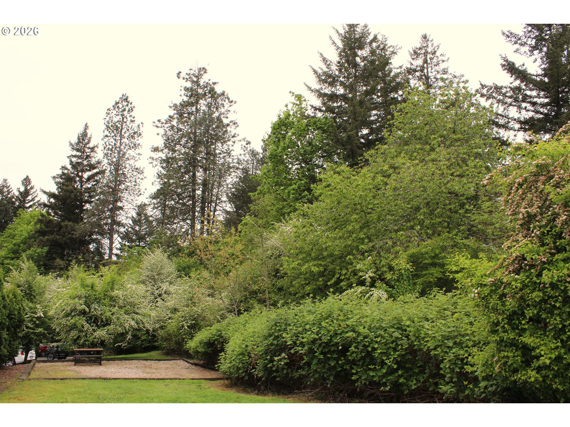 Photo #28: 209112595 Listing: Photo #28