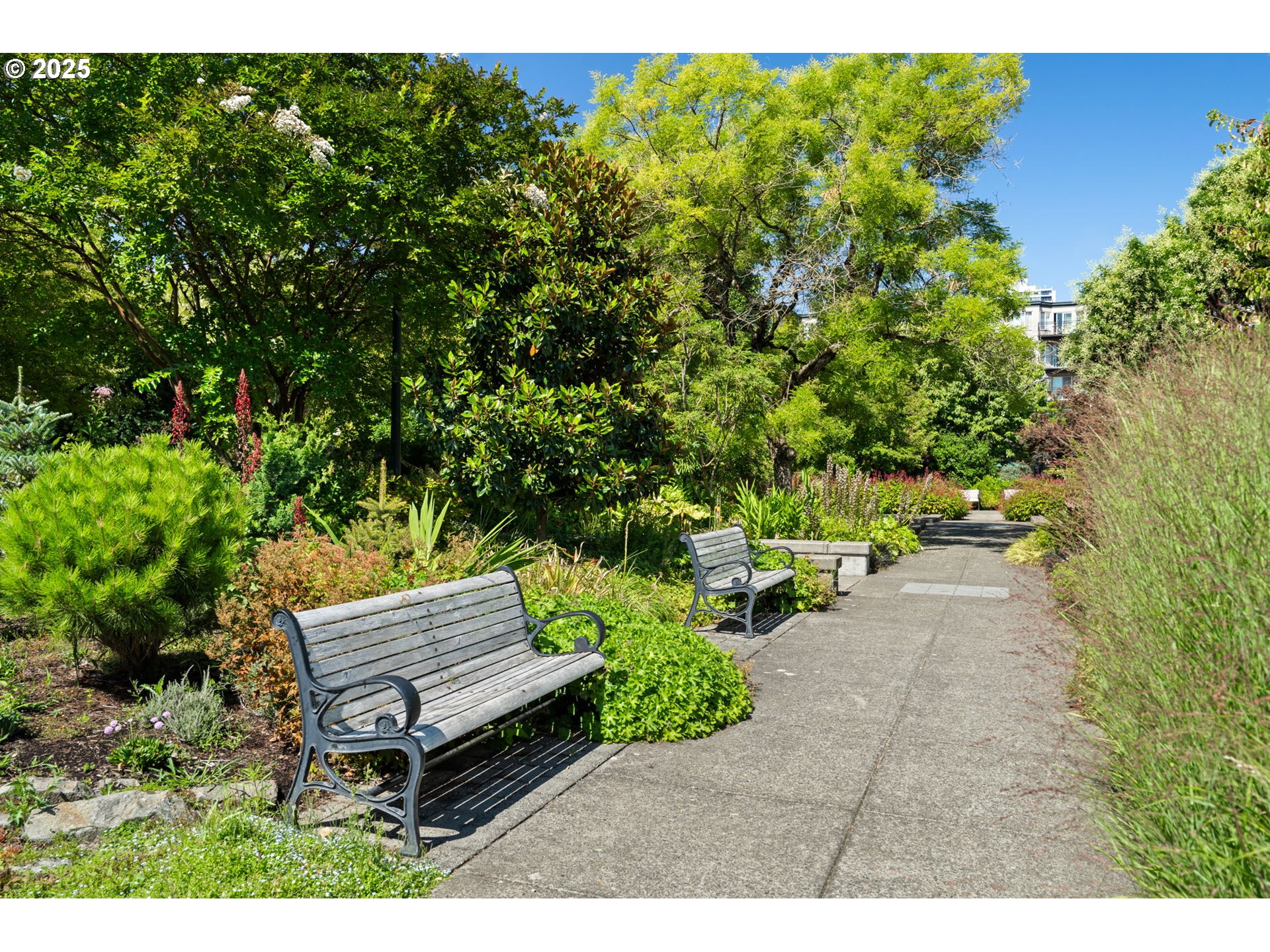 Photo #35: 209948672 Listing: Photo #35