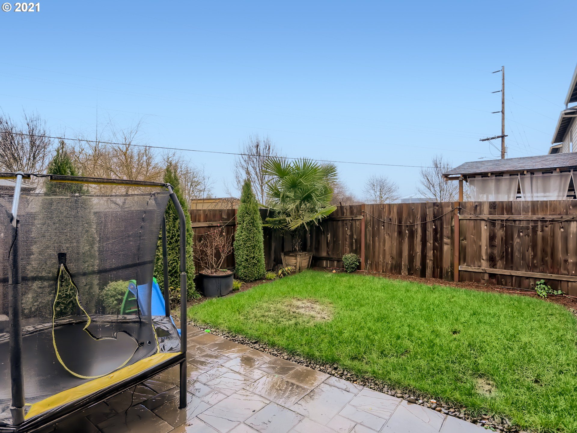 Backyard-Fenced