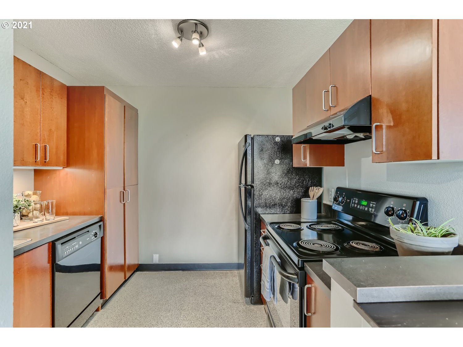 Photo #5: 21005829 Listing 