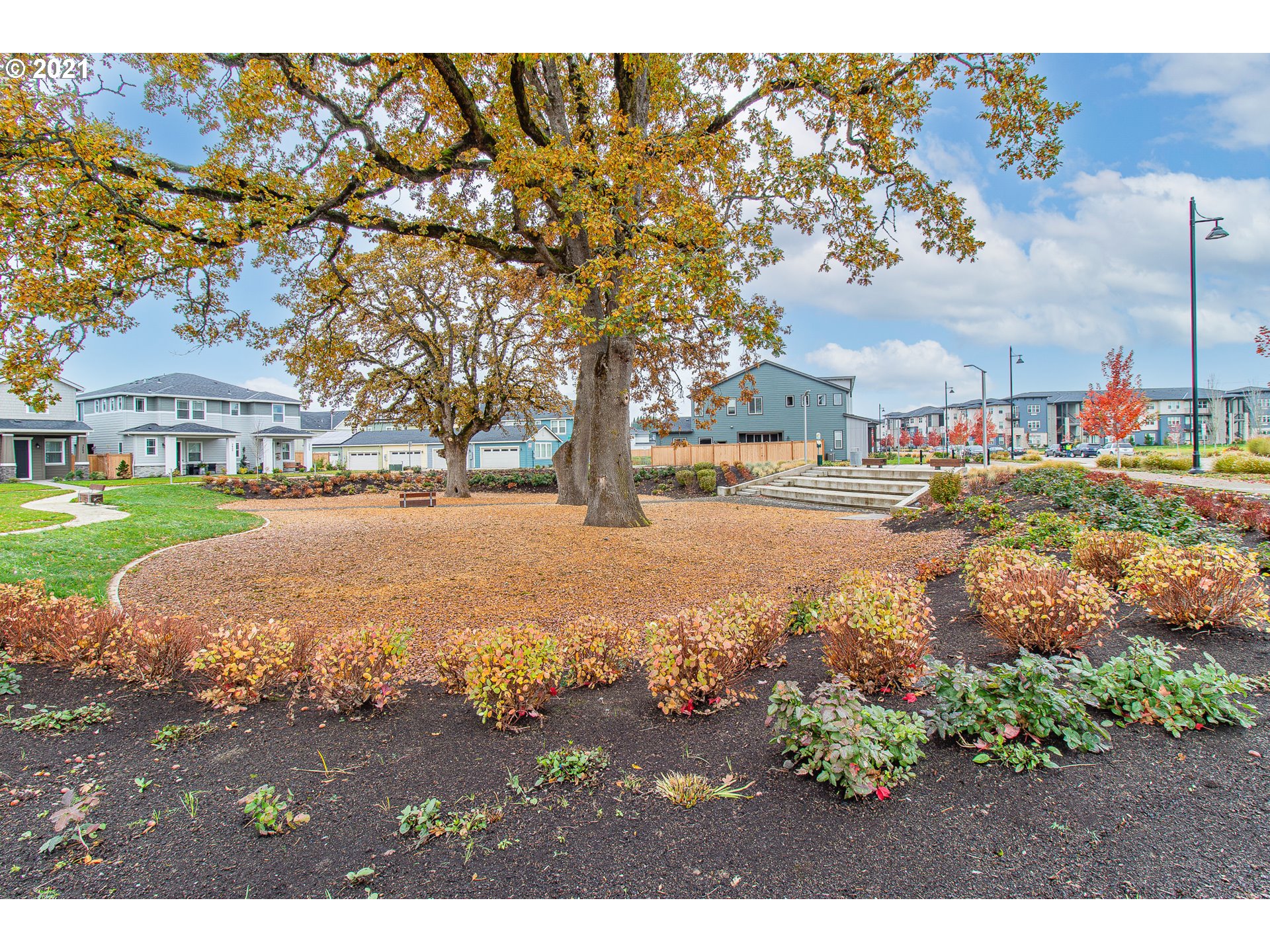 Community Park