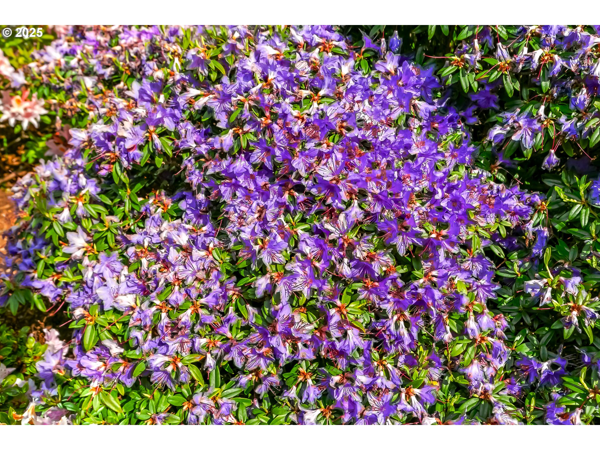 160 SW 59TH ST, South Beach, OR, 97366