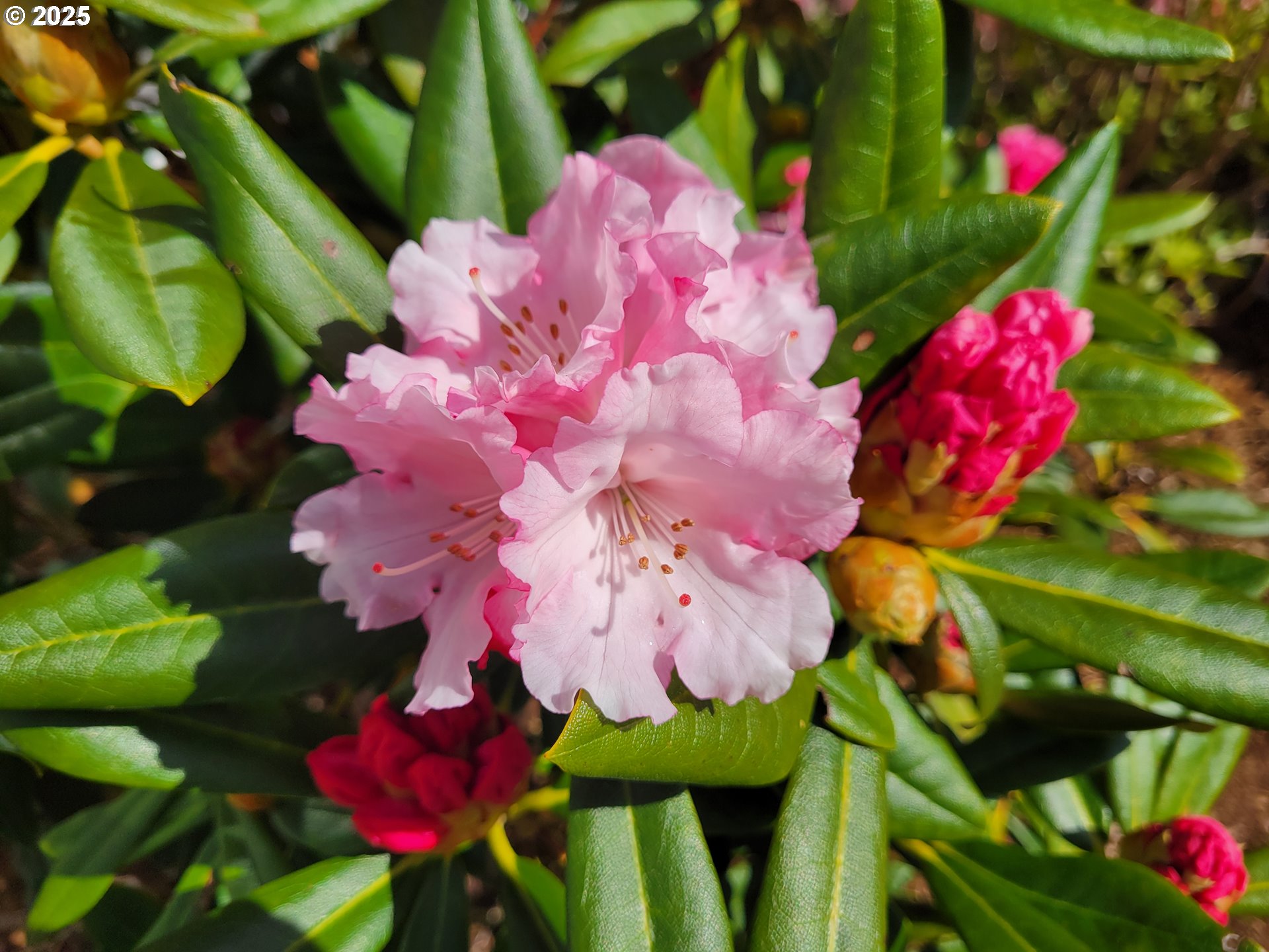 160 SW 59TH ST, South Beach, OR, 97366