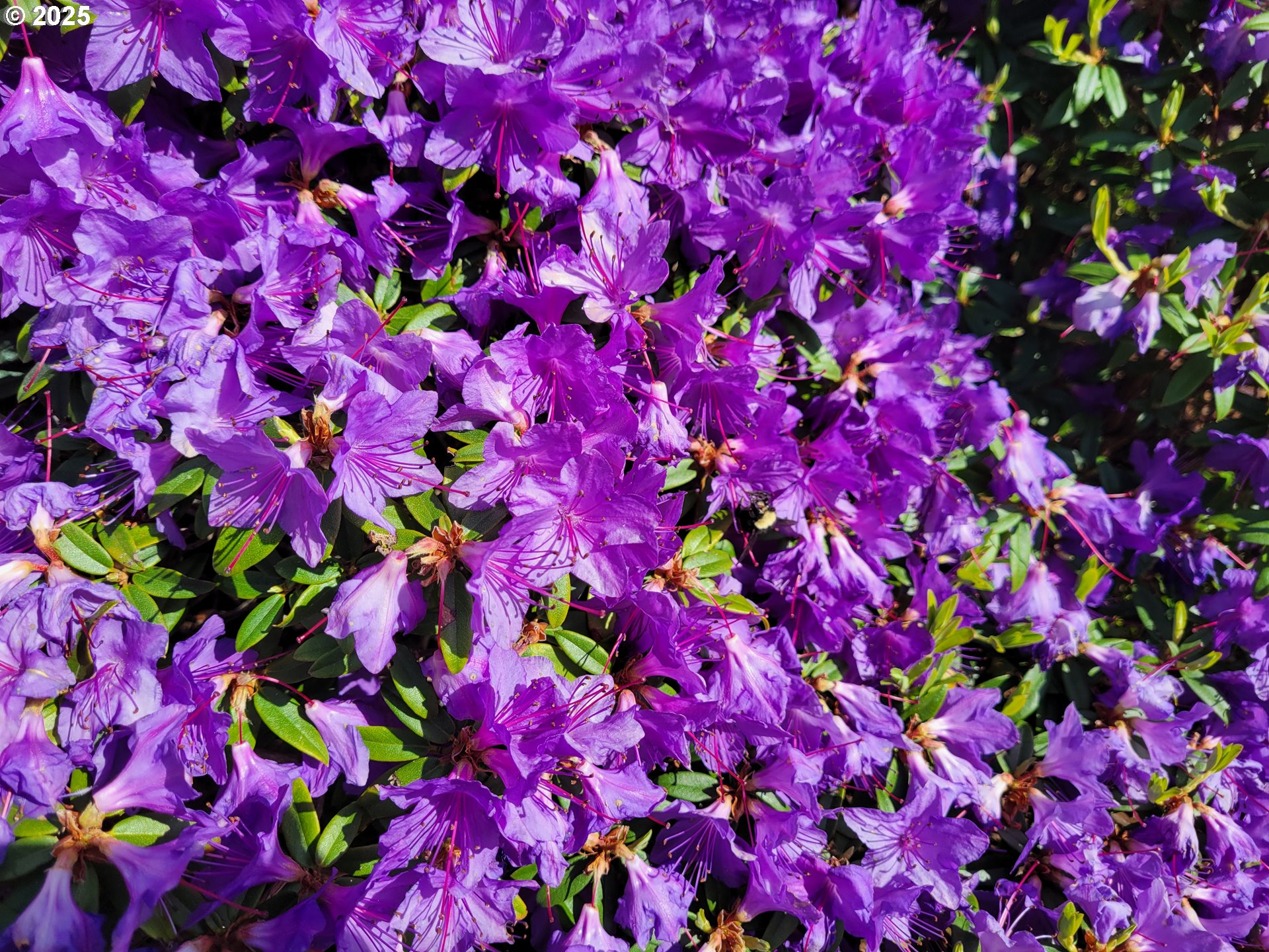 160 SW 59TH ST, South Beach, OR, 97366