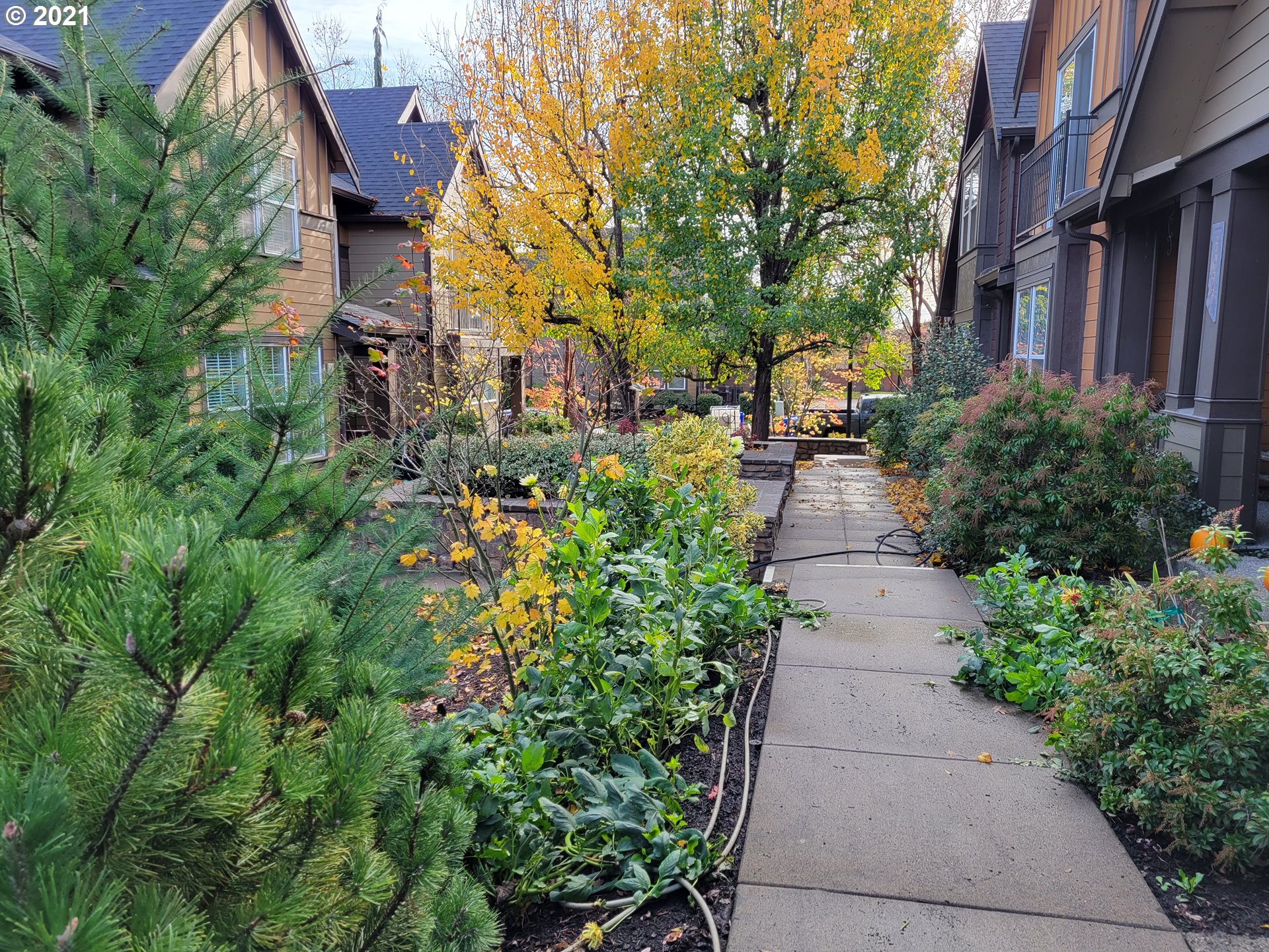 Photo #3: 21059942 Listing 